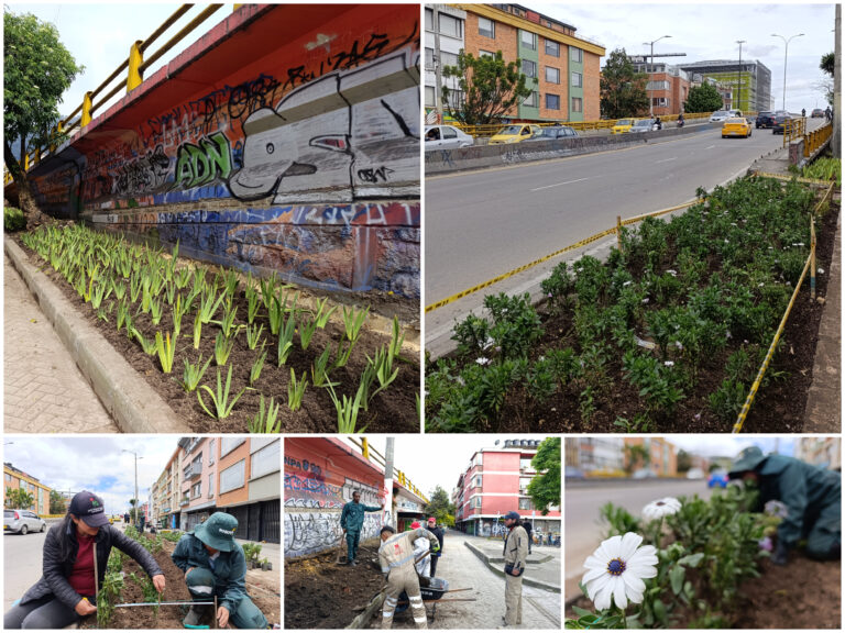 Historias del verde urbano: La transformación verde del puente vehícular de la calle 53 con carrera 30