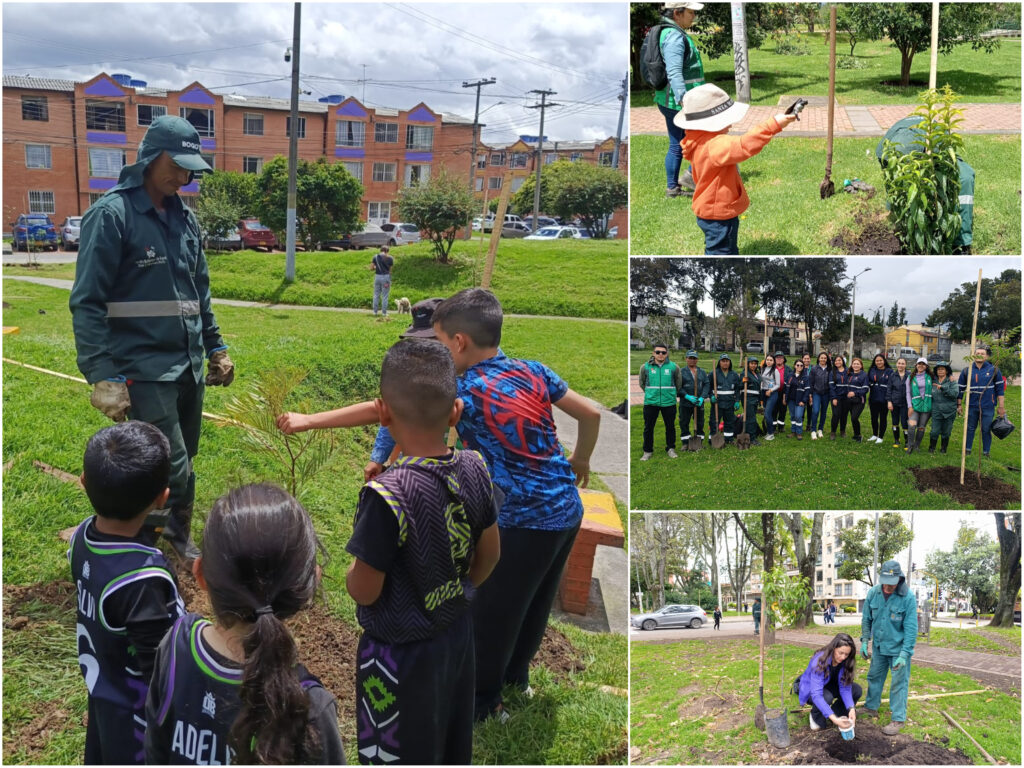 Historias del verde urbano: Bogotá conmemoró el día de los bosques tropicales con plantaciones en siete localidades