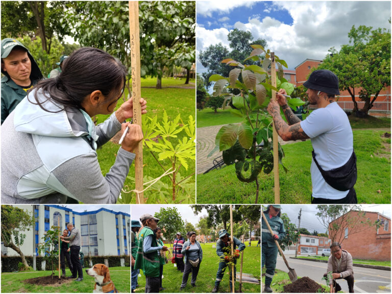 Historias del verde urbano: La localidad más verde de Bogotá aumenta y fortalece su arbolado