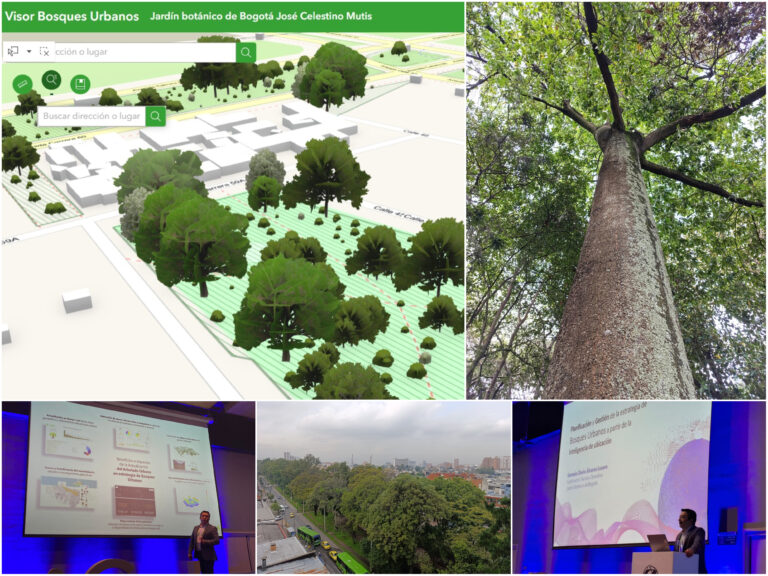Historias del verde urbano : Los bosques urbanos de Bogotá ya cuentan con su propio geoportal de datos abiertos