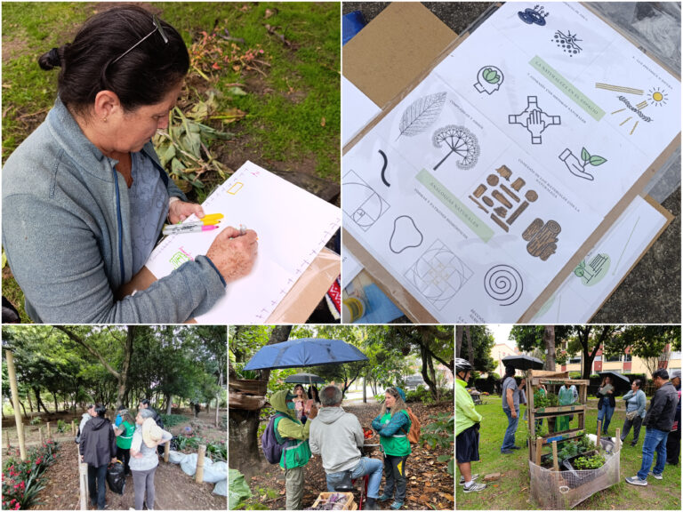 Historias del verde urbano: Bosques urbanos biofílicos: el nuevo proyecto de investigación aplicada del Jardín Botánico de Bogotá