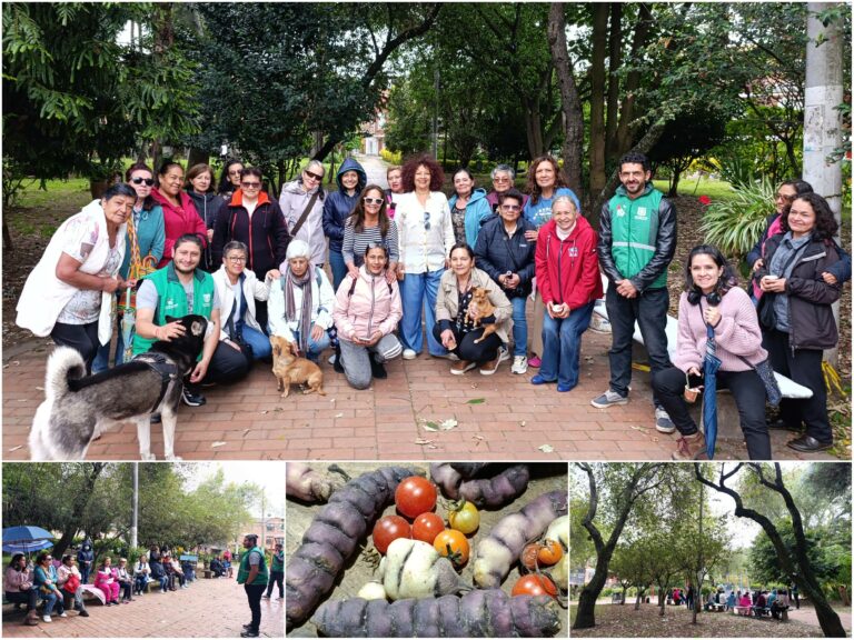 Historias del verde urbano: Un taller de semillas bajo el dosel del bosque urbano de Granada