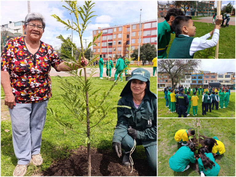 Historias del verde urbano: Los Mandarinos: dos parques de Engativá que diversificaron su arbolado
