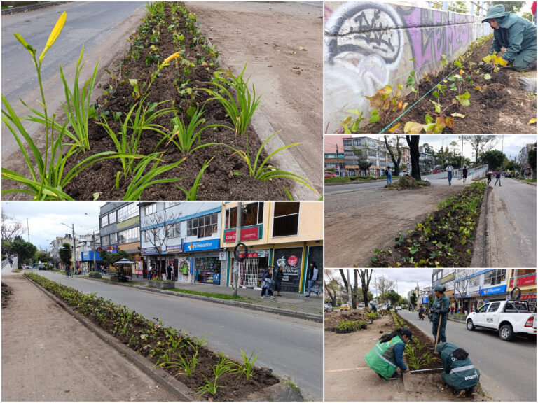 Historias del verde urbano: ¡Puente vehicular de la calle 45 florece con nuevas jardineras!