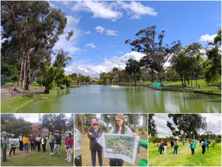 Historias del verde urbano : Cocreando el nuevo verde del bosque urbano Timiza