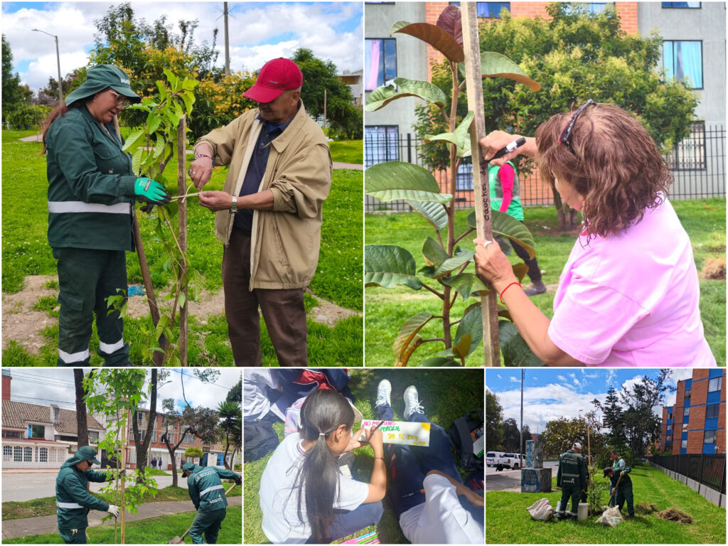 Historias del verde urbano: ¡Explosión verde en el sur de Bogotá!