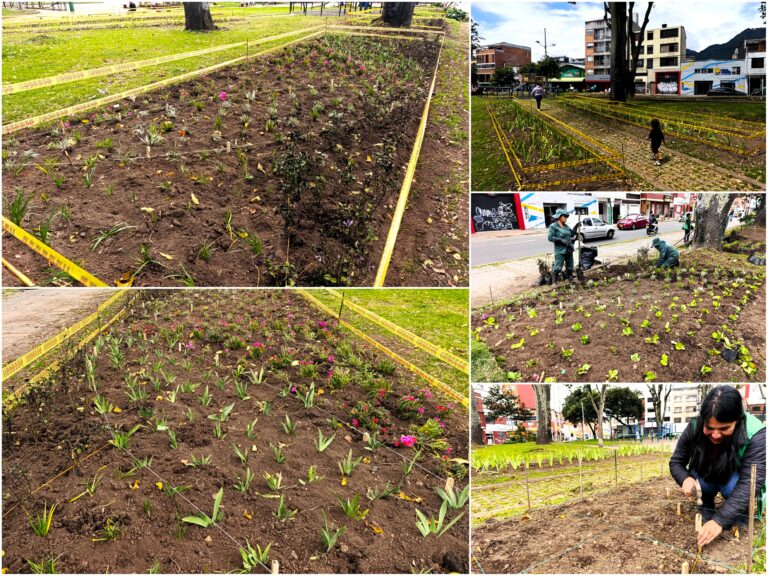 Historias del verde urbano: El parque Alfonso López renueva sus jardineras