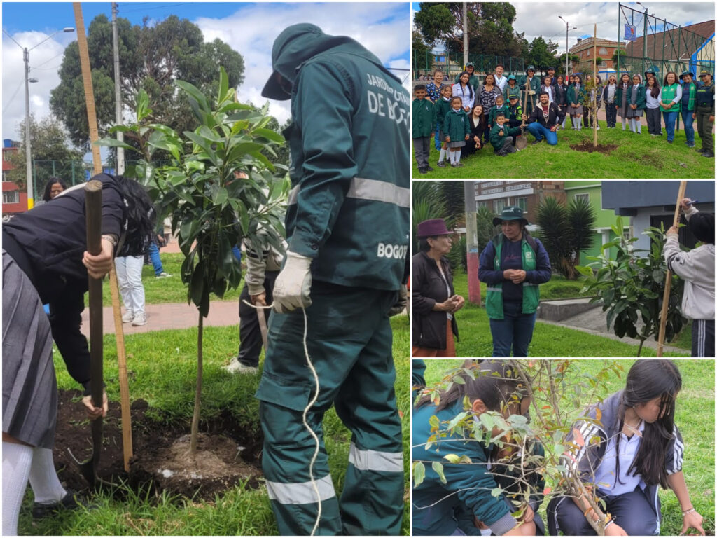 Historias del verde urbano: Estudiantes de colegio se convirtieron en guardianes del arbolado de Kennedy