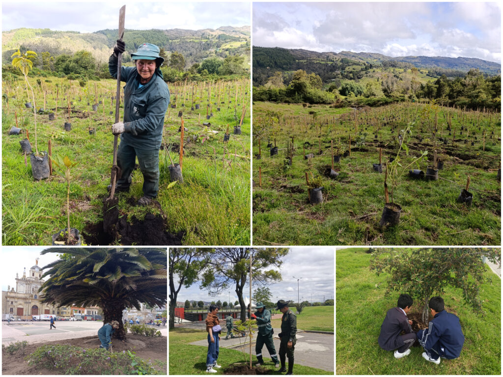 Historias del verde urbano : Homenaje a la vida silvestre con nuevos árboles y jardines