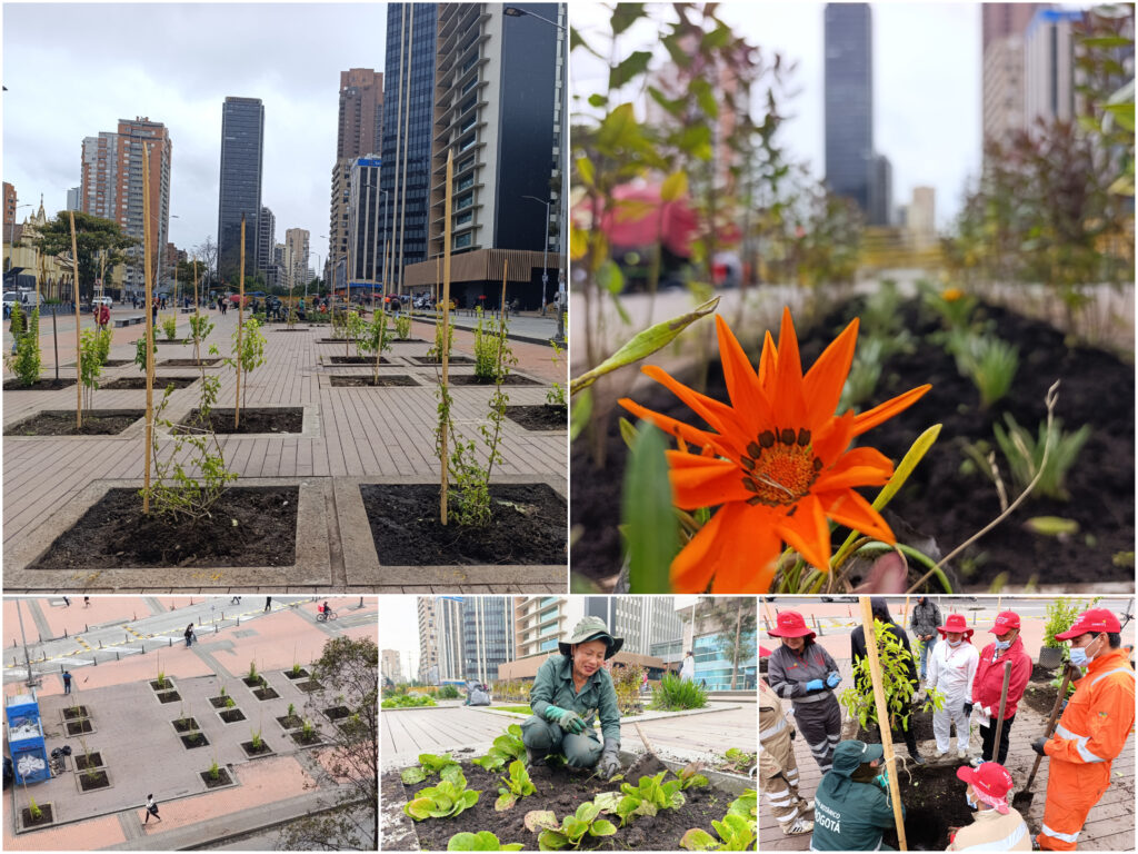 Historias del verde urbano: El bulevar de la estación Museo Nacional recuperó sus coberturas vegetales