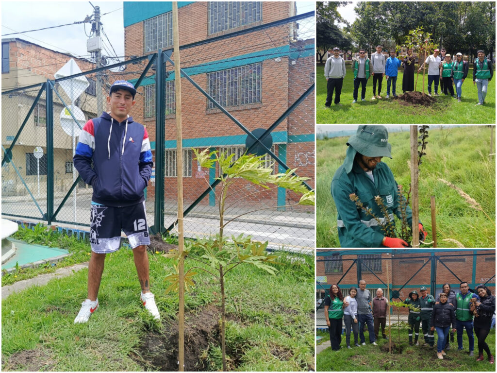 Historias del verde urbano: El verde vuelve a brillar en varias zonas de seis localidades de Bogotá