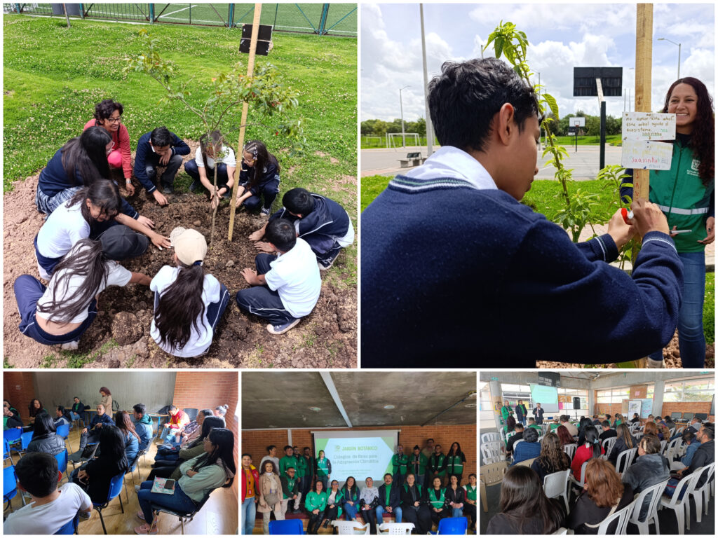 Historias del verde urbano: Colegios de Bosa: nuevos aliados en la renaturalización de la ciudad