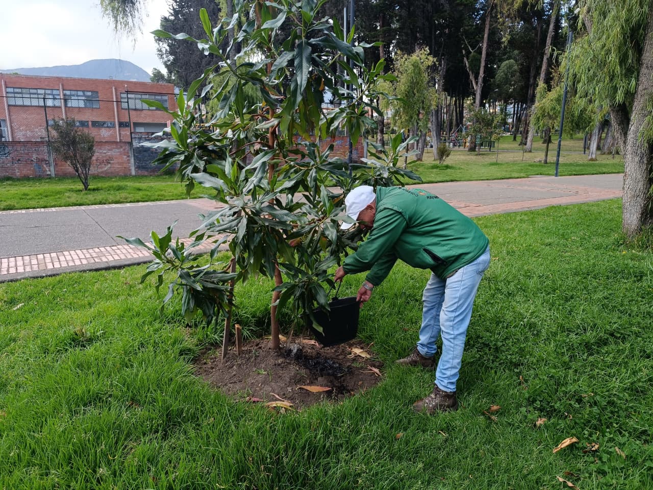Historias del verde urbano: ¡Replantes, riegos, podas y fertilización en las coberturas vegetales de ocho localidades!