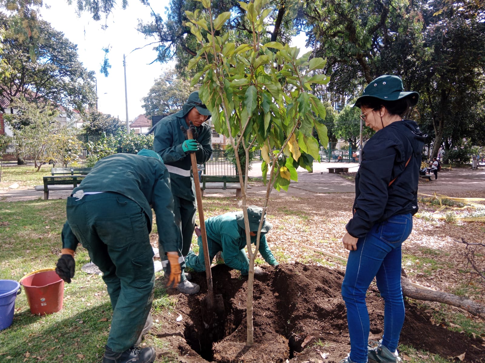 Historias del verde urbano: El reverdecer de San Luis y el parque Tercer Milenio