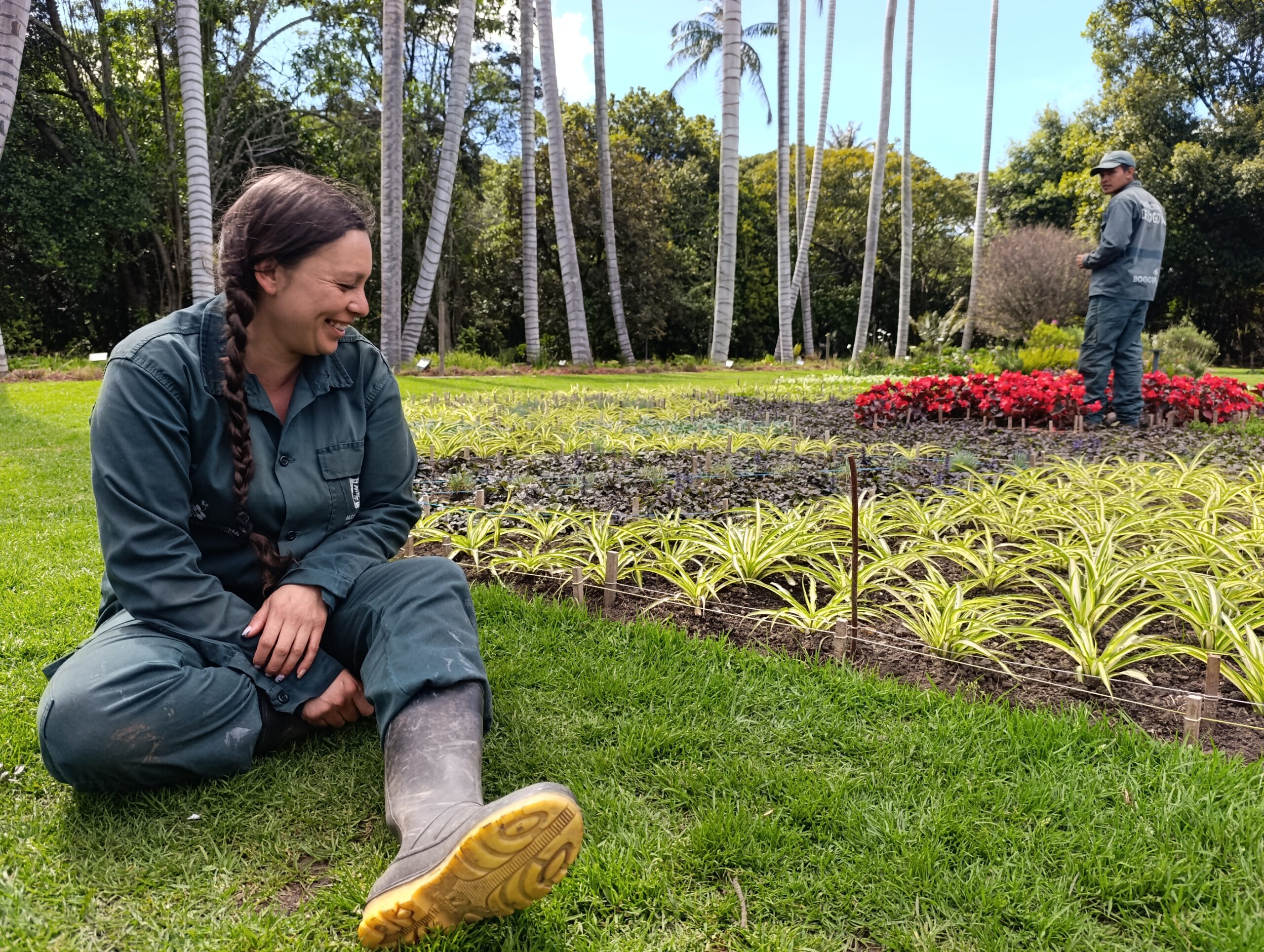 Historias del verde urbano: El lienzo floral que honra los 70 años del Jardín Botánico de Bogotá
