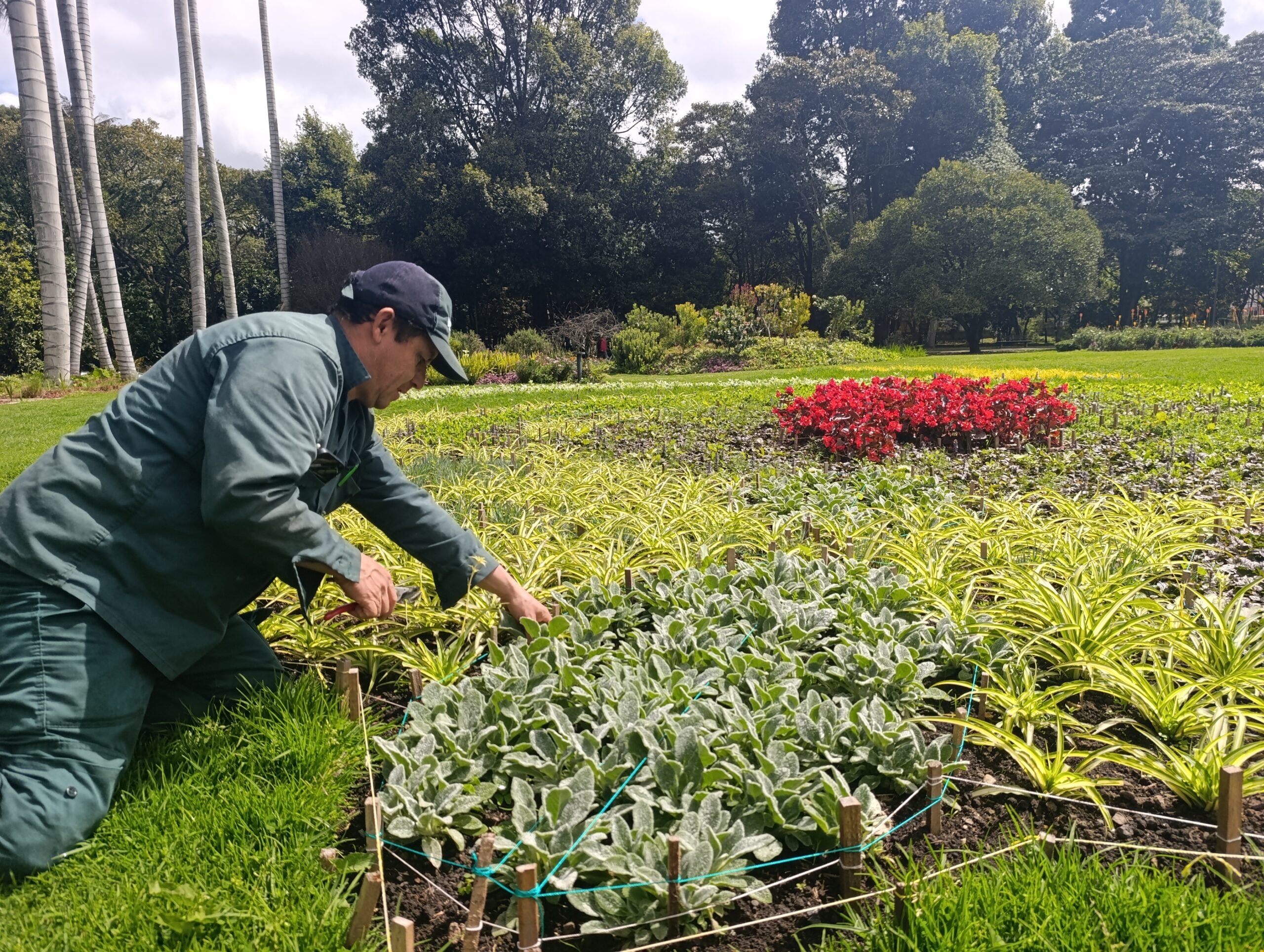 Historias del verde urbano: El lienzo floral que honra los 70 años del Jardín Botánico de Bogotá