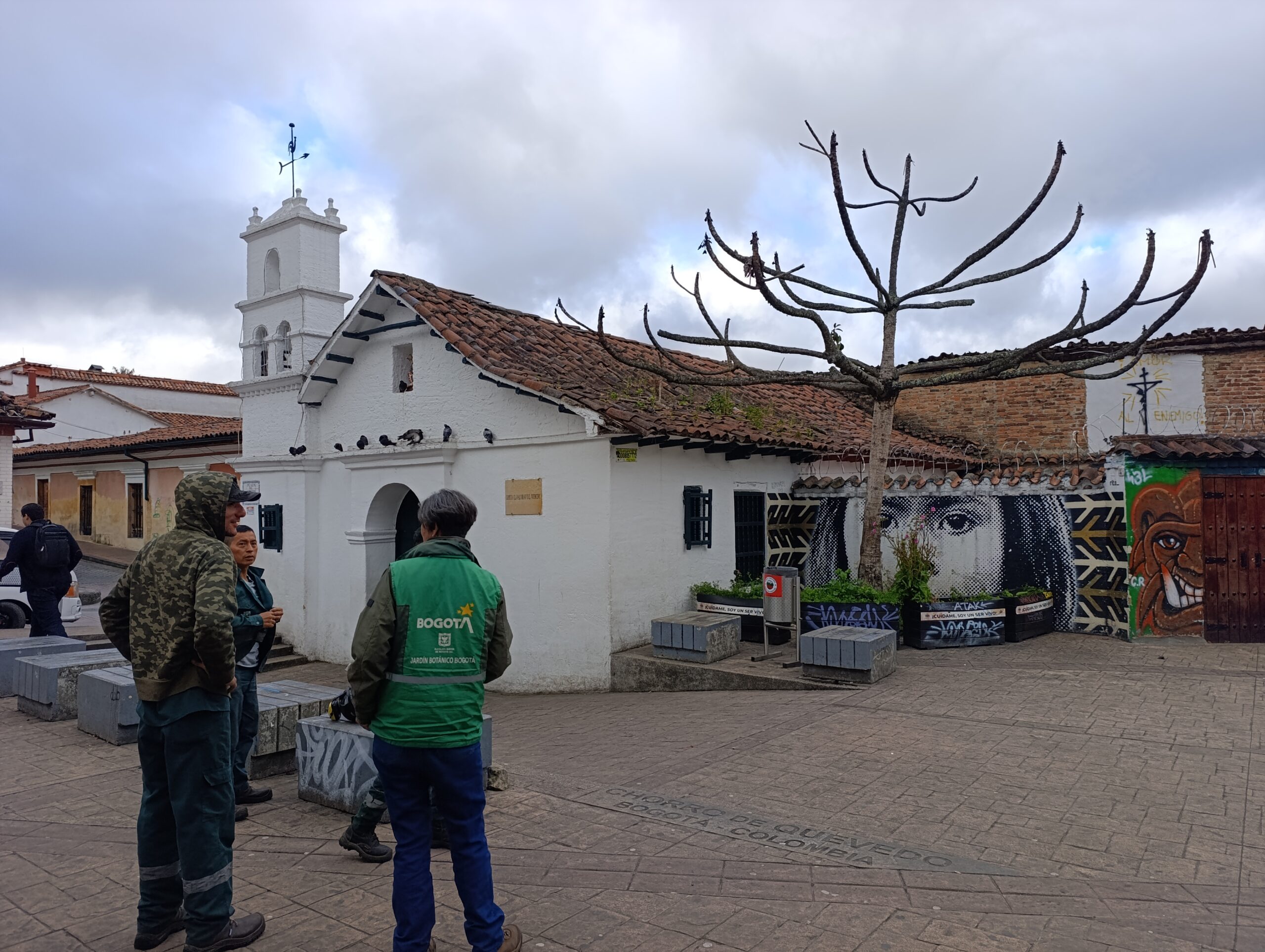 Historias del verde urbano: El Chorro de Quevedo escribe un nuevo capítulo en la historia de su paisaje