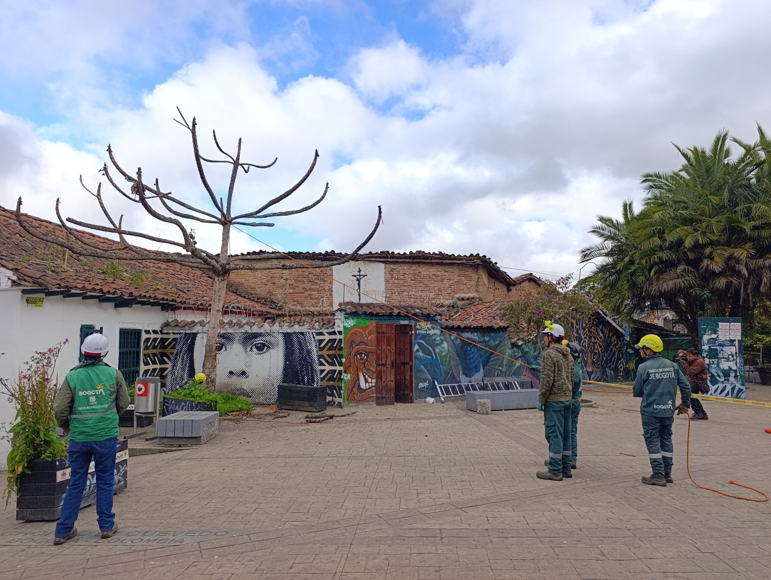 Historias del verde urbano: El Chorro de Quevedo escribe un nuevo capítulo en la historia de su paisaje