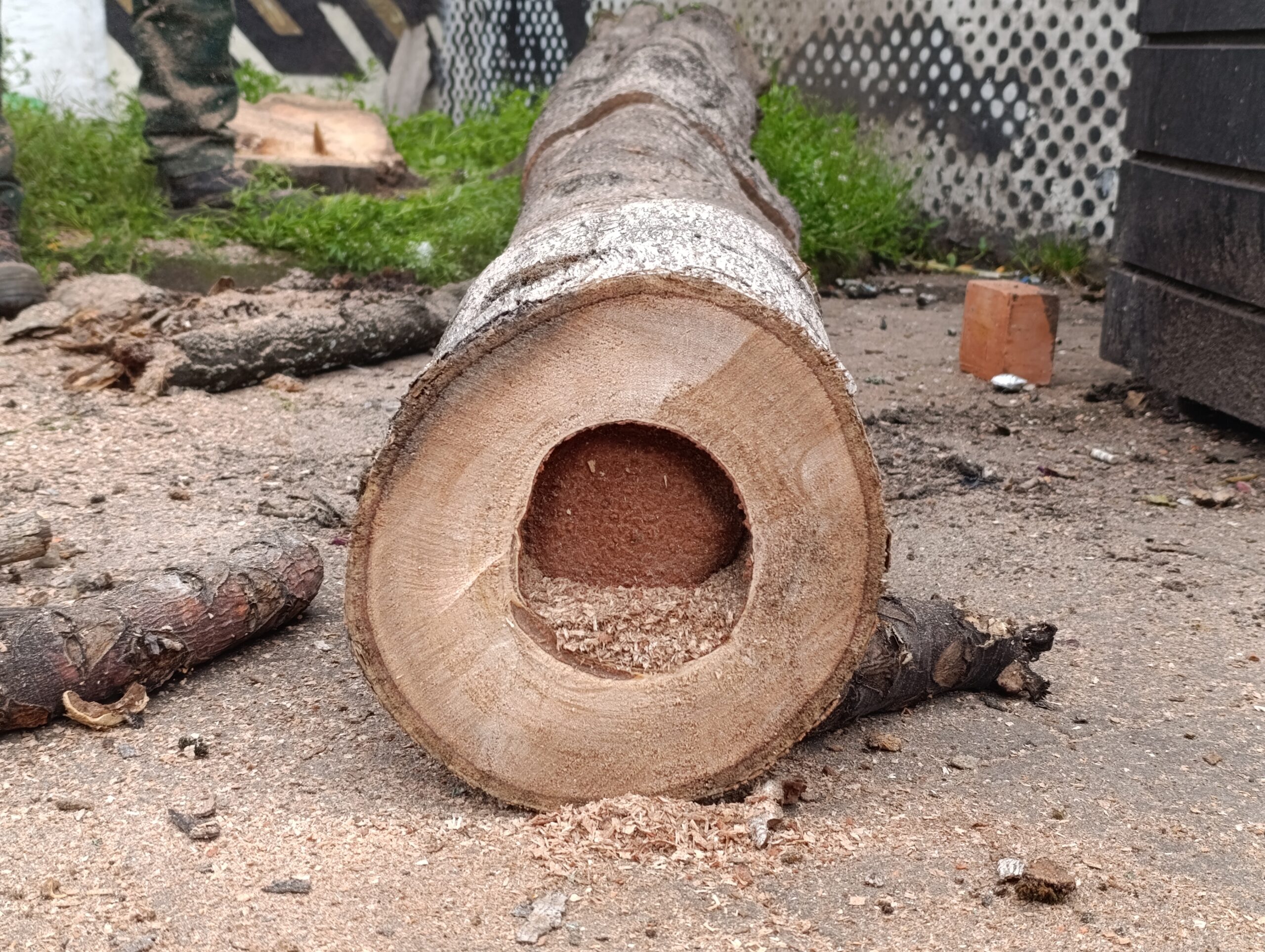Historias del verde urbano: El Chorro de Quevedo escribe un nuevo capítulo en la historia de su paisaje