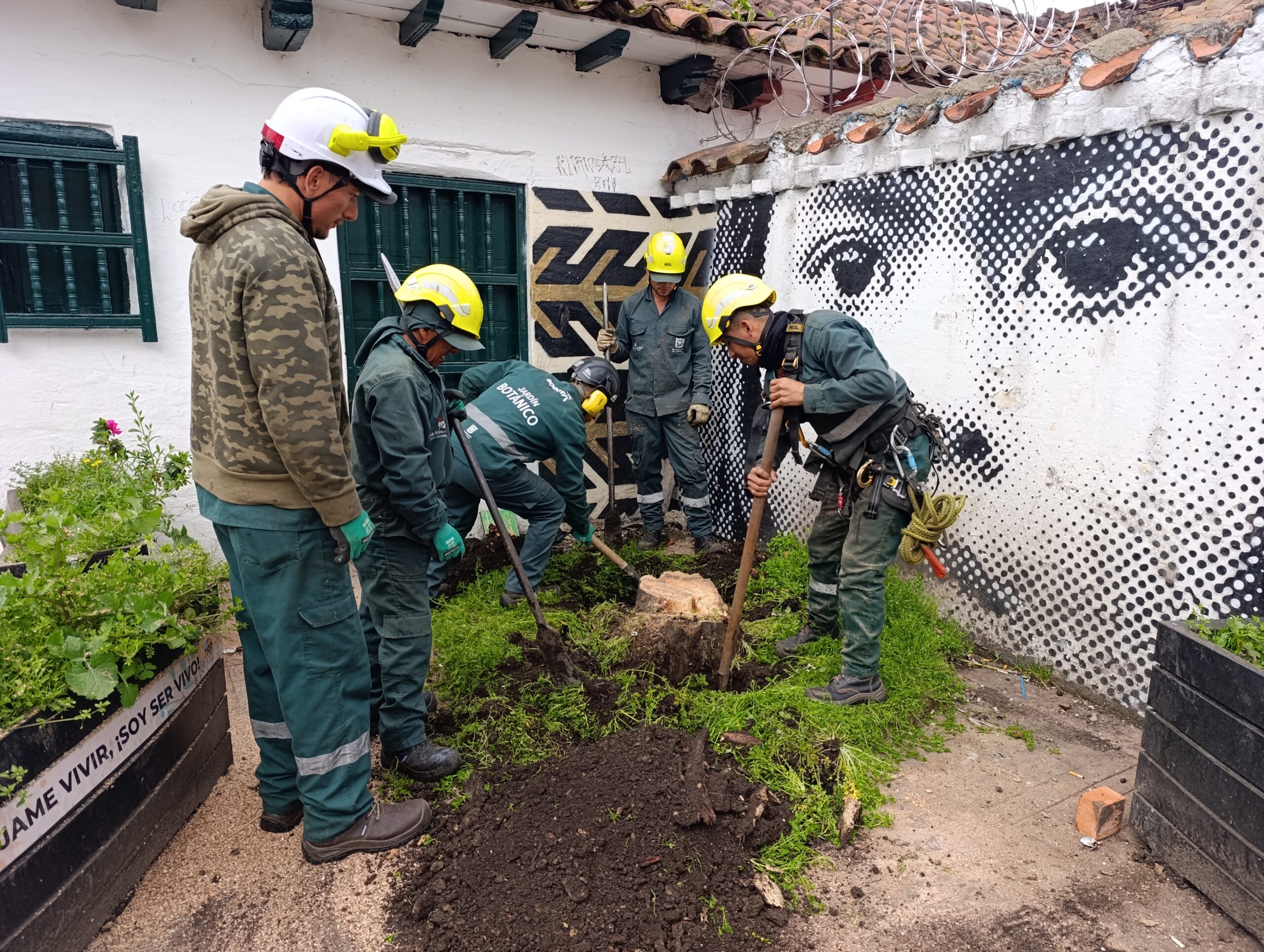 Historias del verde urbano: El Chorro de Quevedo escribe un nuevo capítulo en la historia de su paisaje