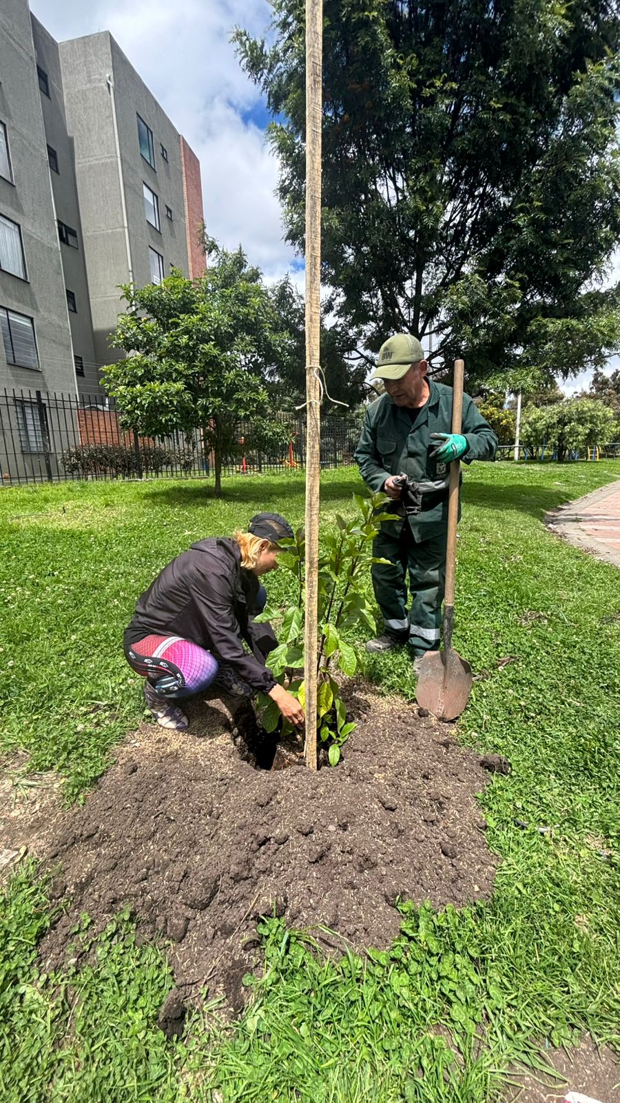 Historias del verde urbano: Madelena: un barrio cincuentón de Ciudad Bolívar que se renaturaliza