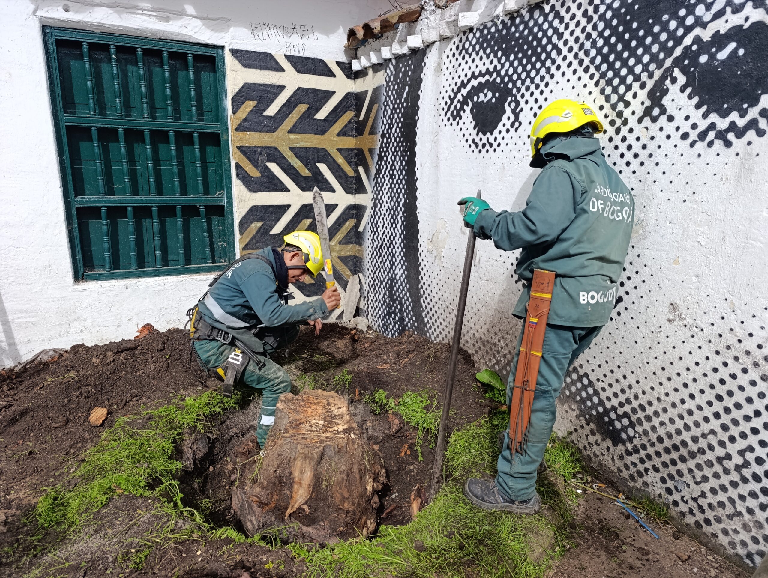 Historias del verde urbano: El Chorro de Quevedo escribe un nuevo capítulo en la historia de su paisaje