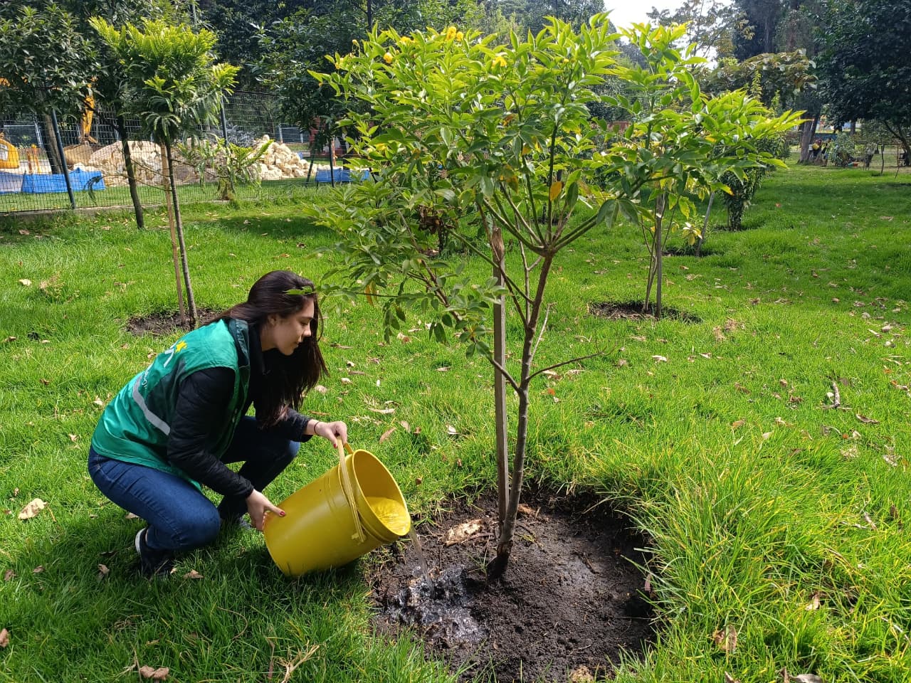 Historias del verde urbano: ¡Replantes, riegos, podas y fertilización en las coberturas vegetales de ocho localidades!