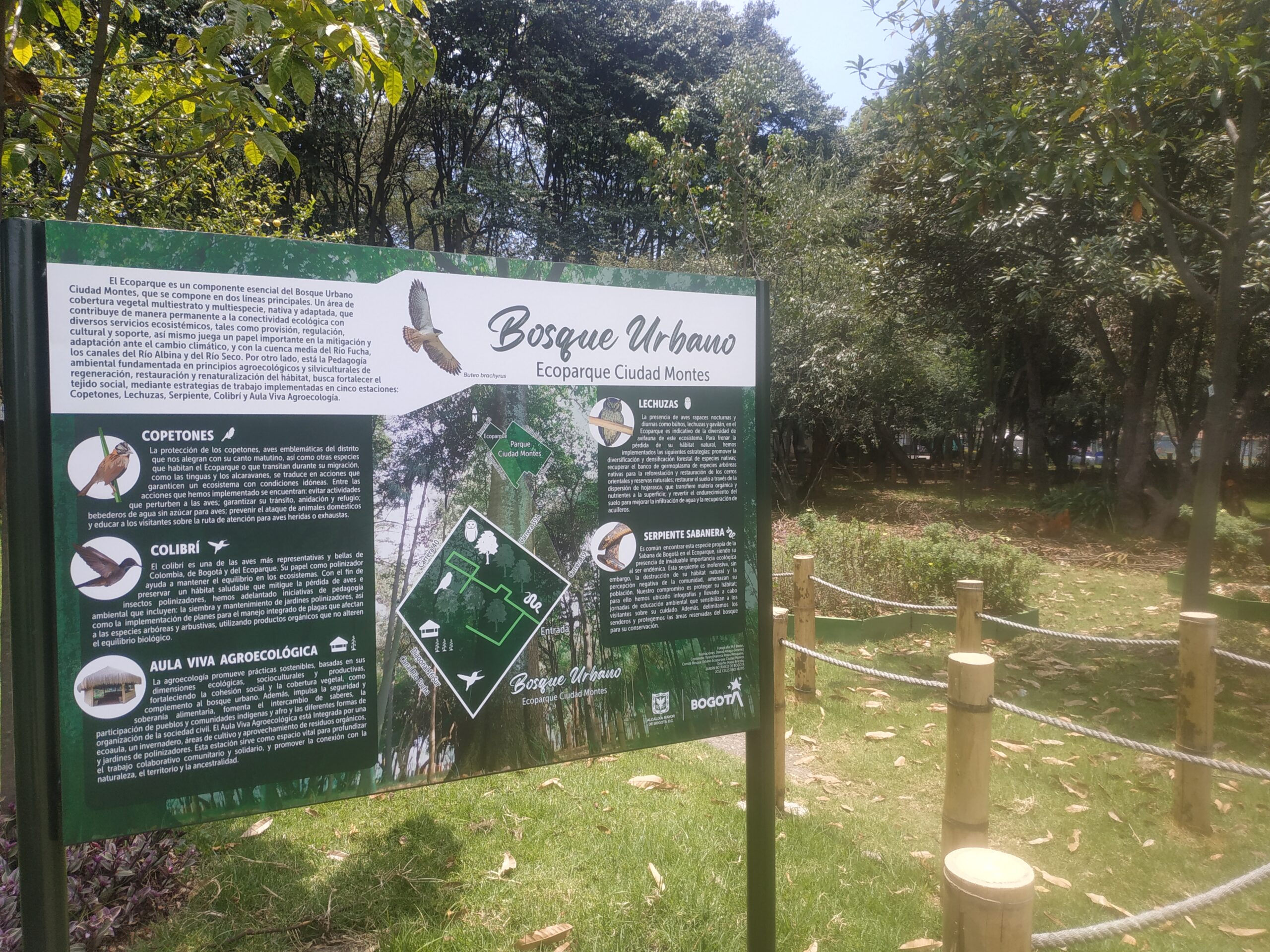 “Encontrémonos en los bosques urbanos” brilló en Ciudad Montes con un taller de jardines biodiversos