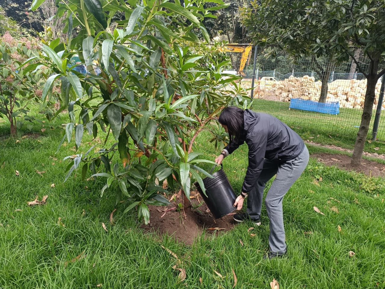 Historias del verde urbano: ¡Replantes, riegos, podas y fertilización en las coberturas vegetales de ocho localidades!