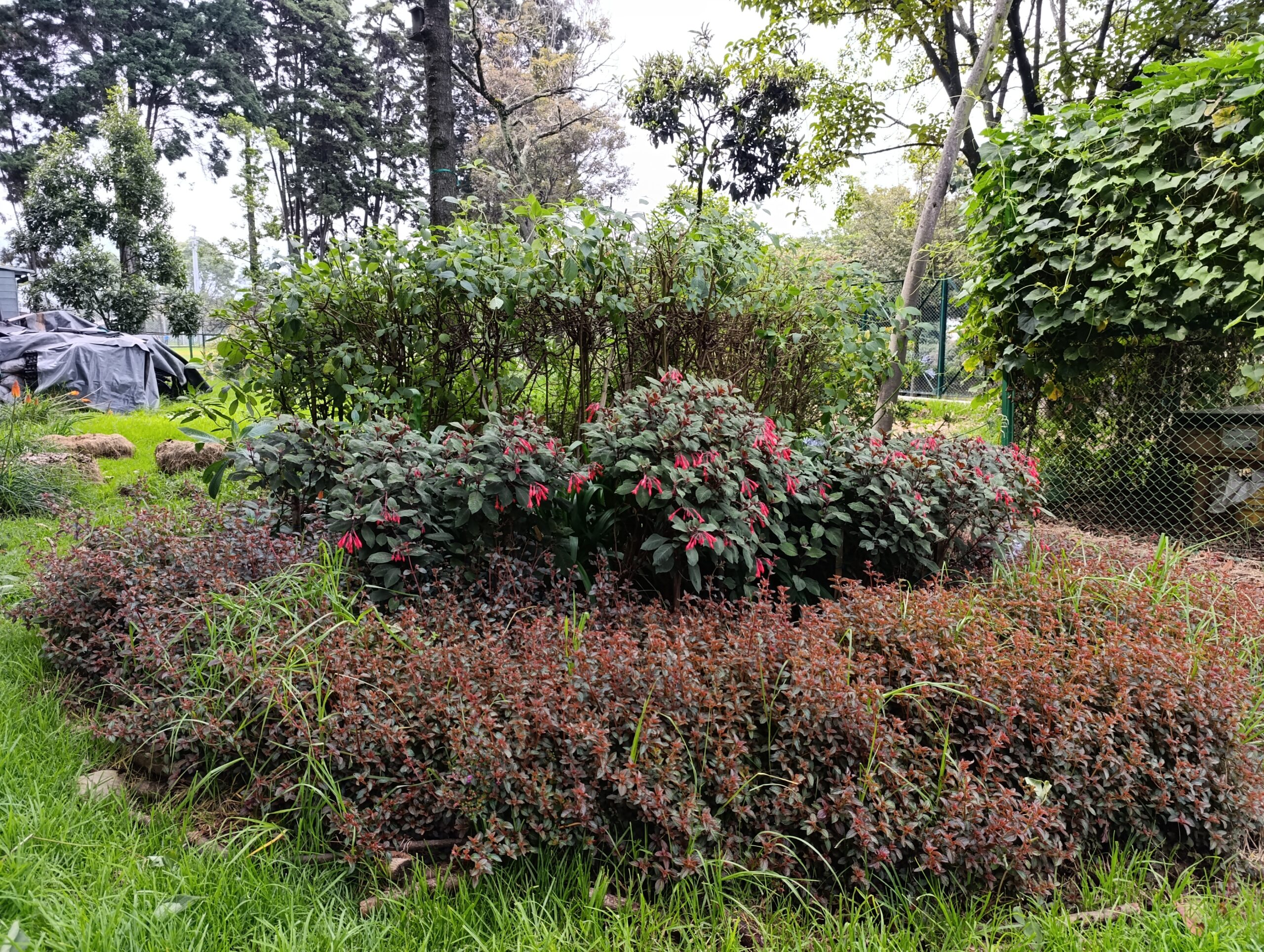 “Encontrémonos en los bosques urbanos” brilló en Ciudad Montes con un taller de jardines biodiversos
