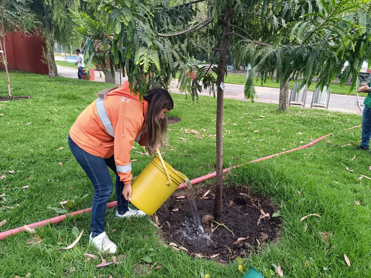 Historias del verde urbano: ¡Replantes, riegos, podas y fertilización en las coberturas vegetales de ocho localidades!