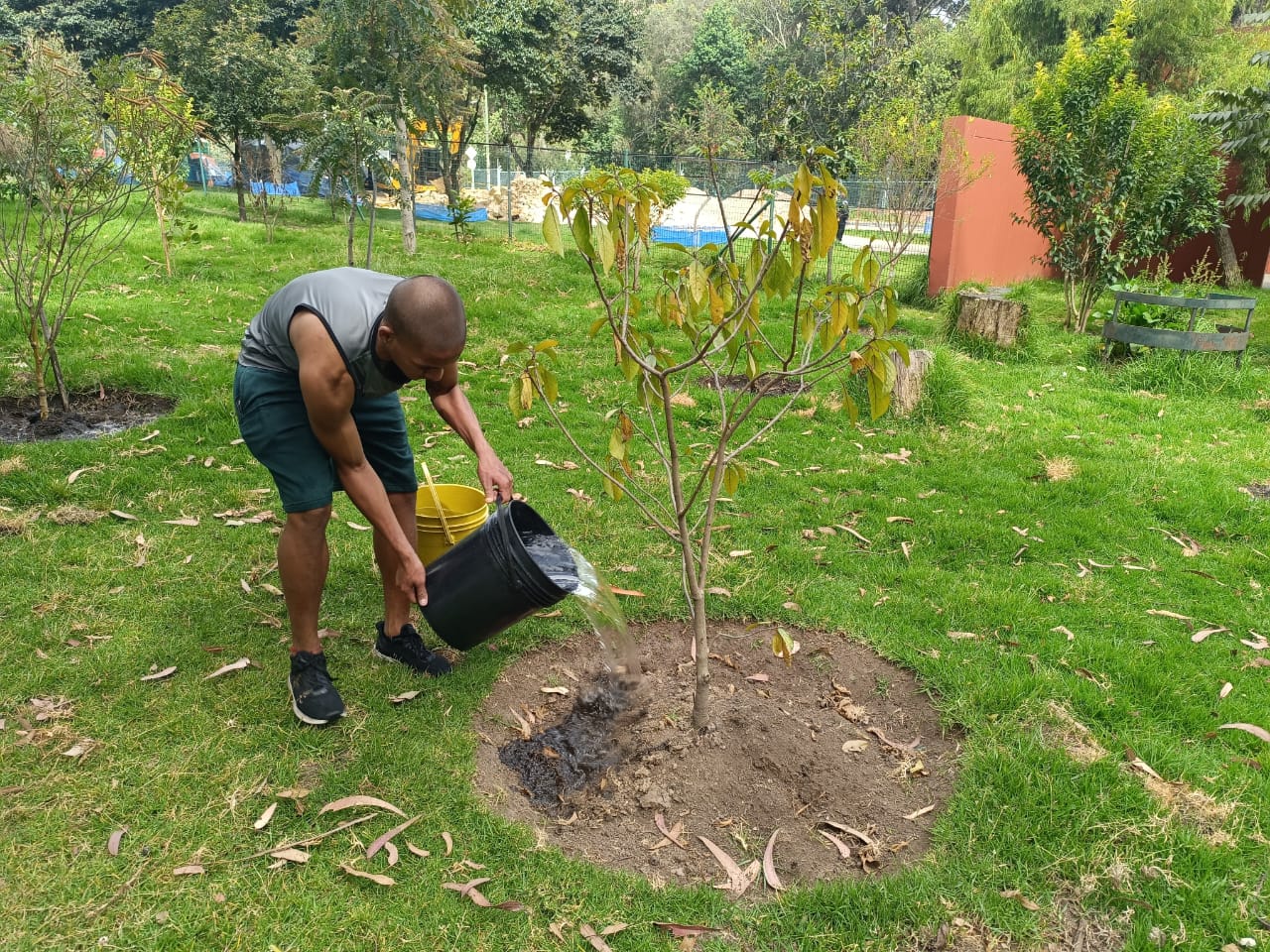 Historias del verde urbano: ¡Replantes, riegos, podas y fertilización en las coberturas vegetales de ocho localidades!
