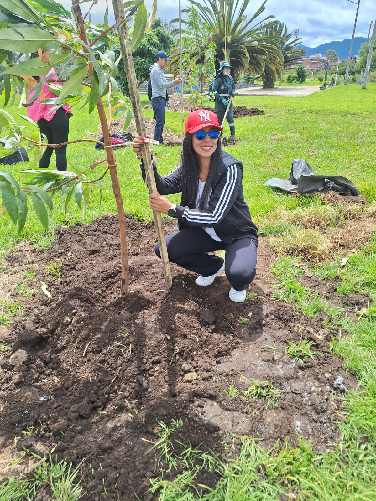 Historias del verde urbano: Bogotá recibió más de 250 árboles durante el Día Interamericano de la Calidad del Aire Historias del verde urbano: Bogotá recibió más de 250 árboles durante el Día Interamericano de la Calidad del Aire