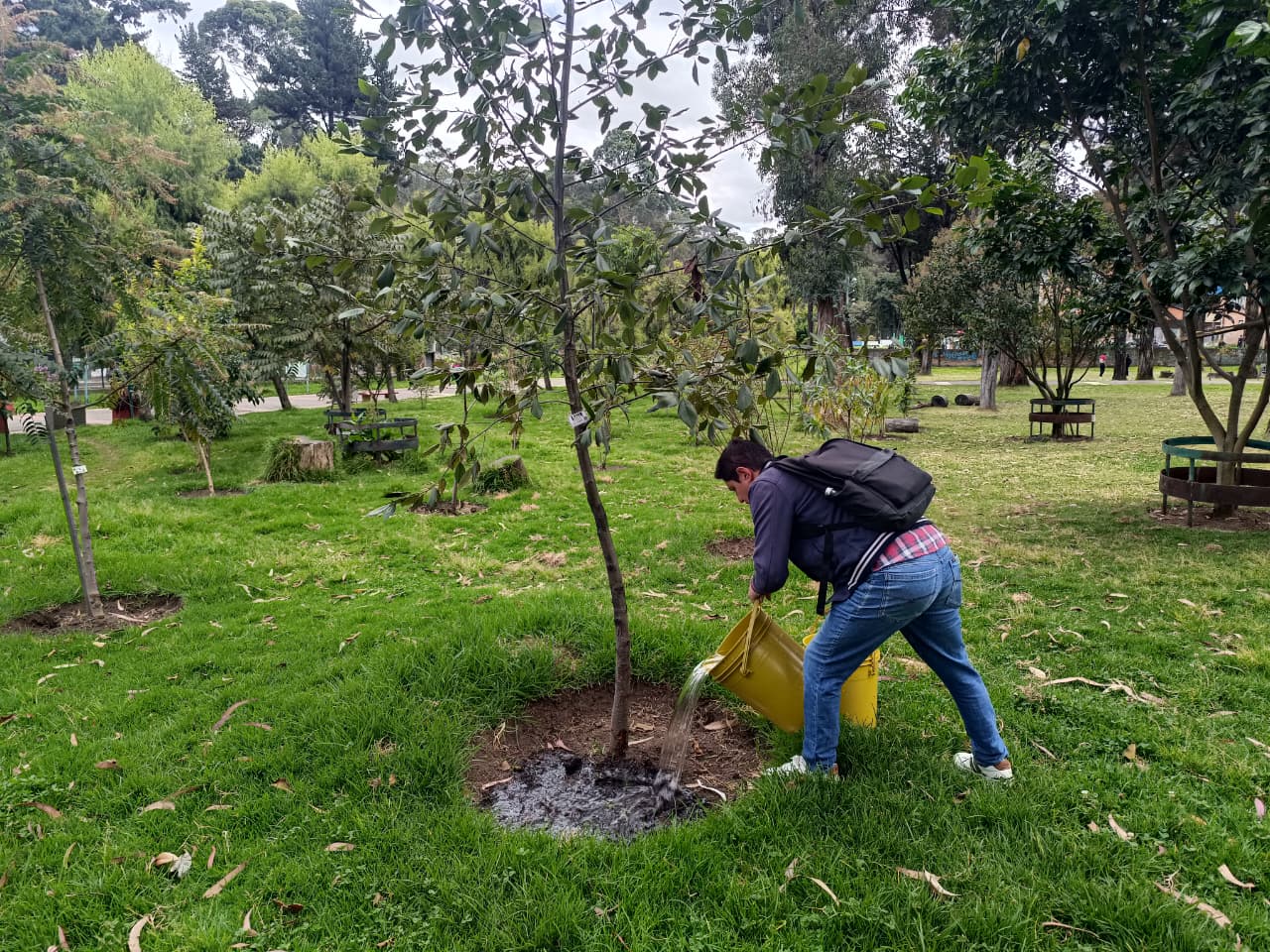 Historias del verde urbano: ¡Replantes, riegos, podas y fertilización en las coberturas vegetales de ocho localidades!