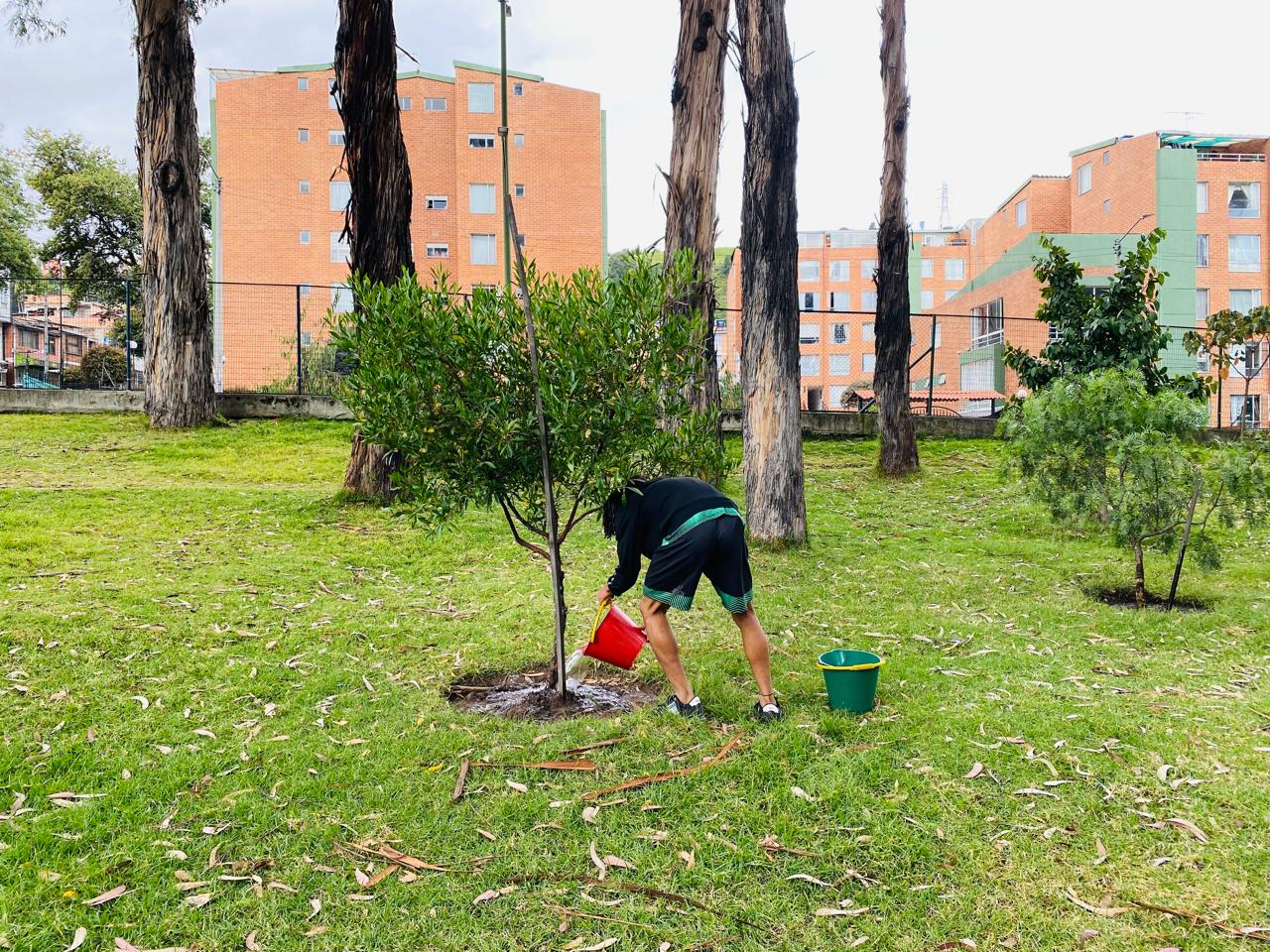 Historias del verde urbano: ¡Replantes, riegos, podas y fertilización en las coberturas vegetales de ocho localidades!