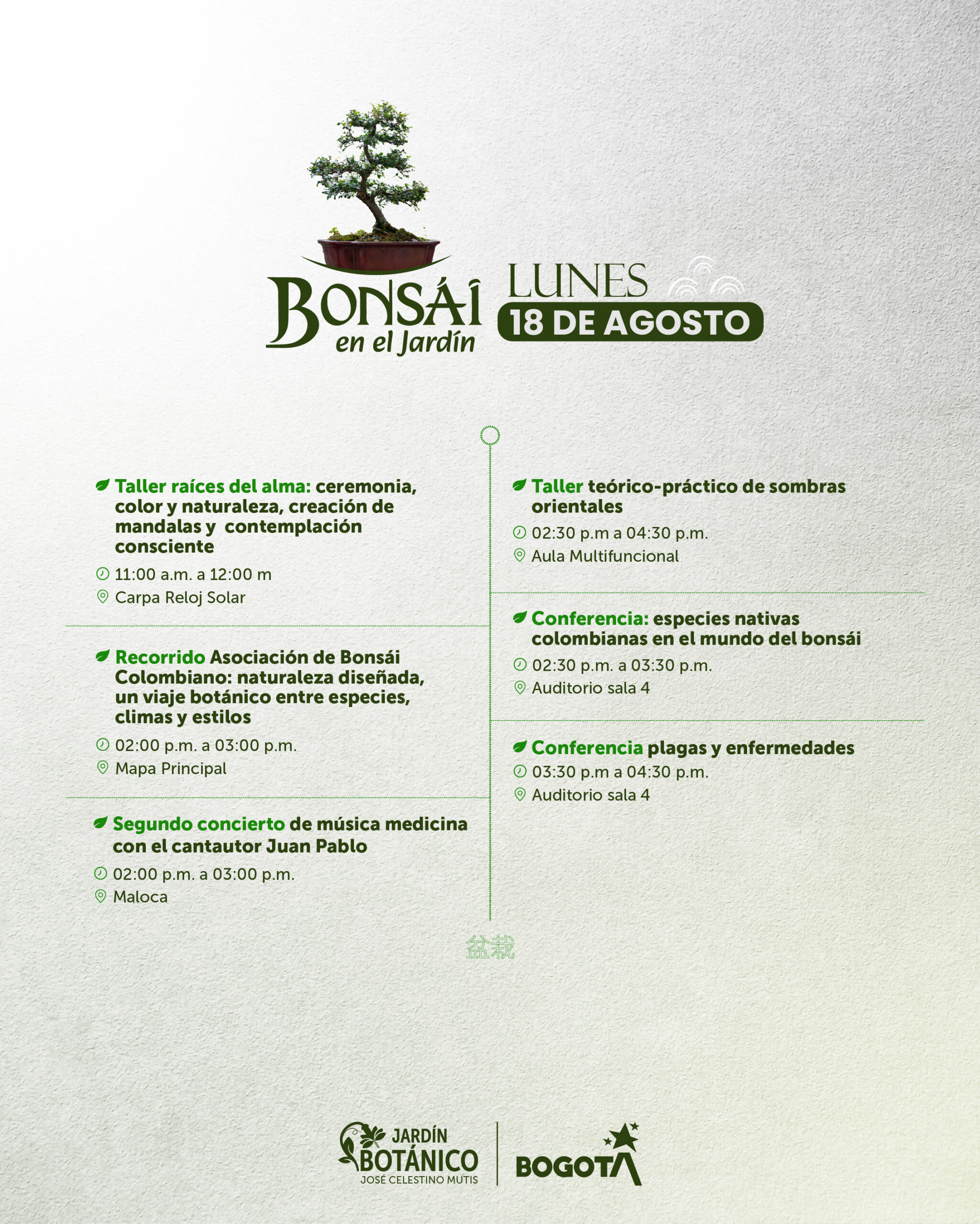 Agenda bonsai (11)