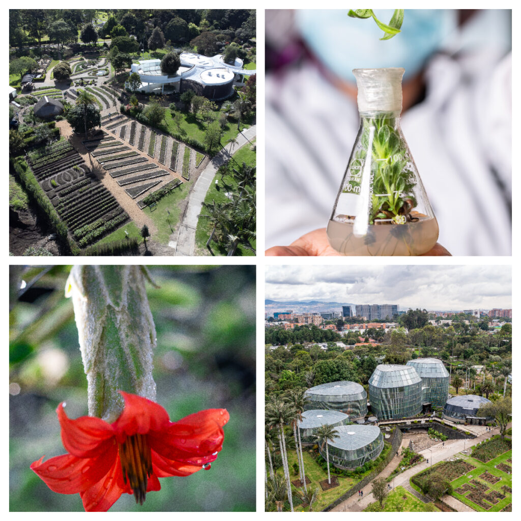 El Jardín Botánico de Bogotá está de fiesta: celebra 70 años de un legado vivo que sigue dejando huella en la ciudad y el país