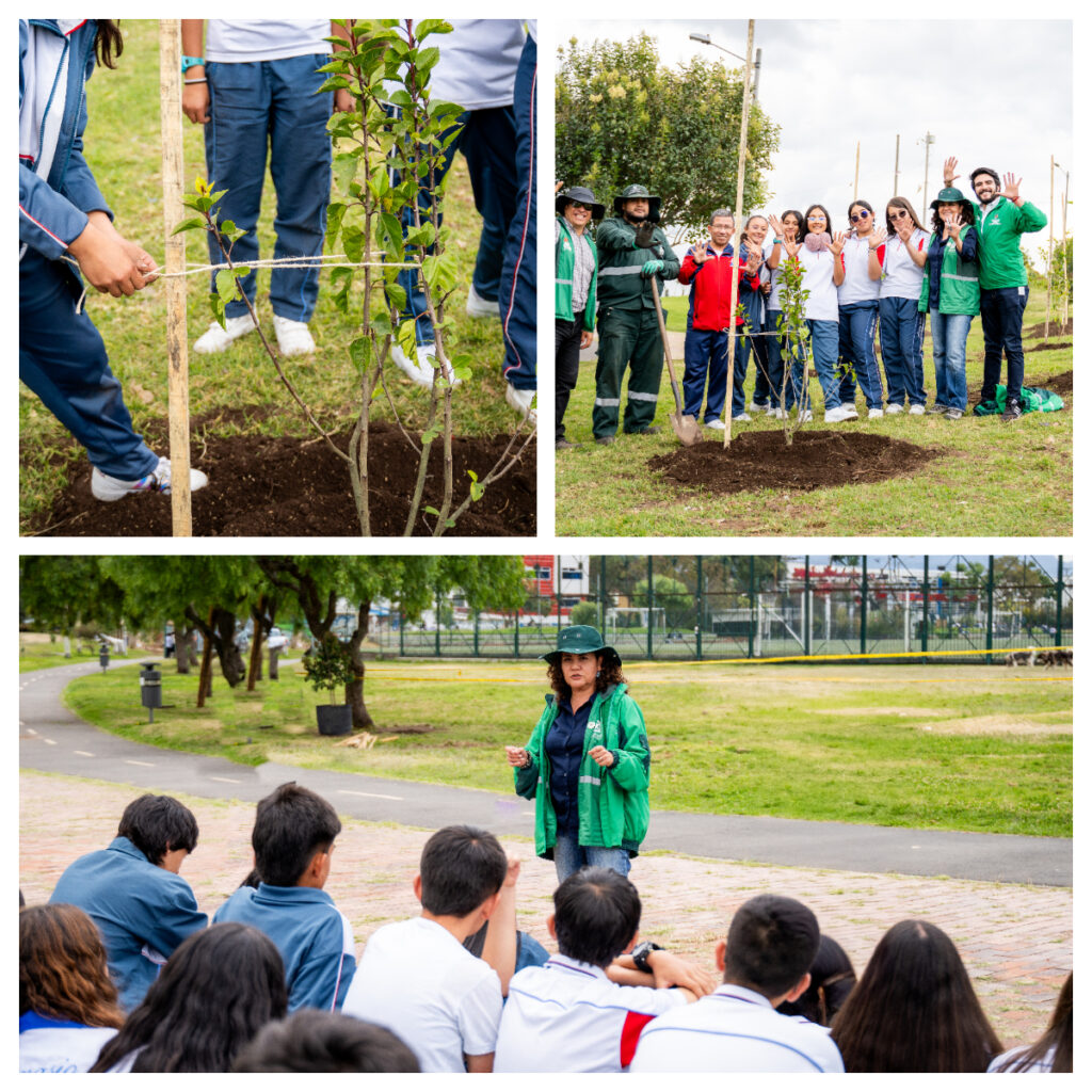 El Jardín Botánico plantó 200 árboles nativos en Bosa para mejorar la calidad del aire y combatir el cambio climático