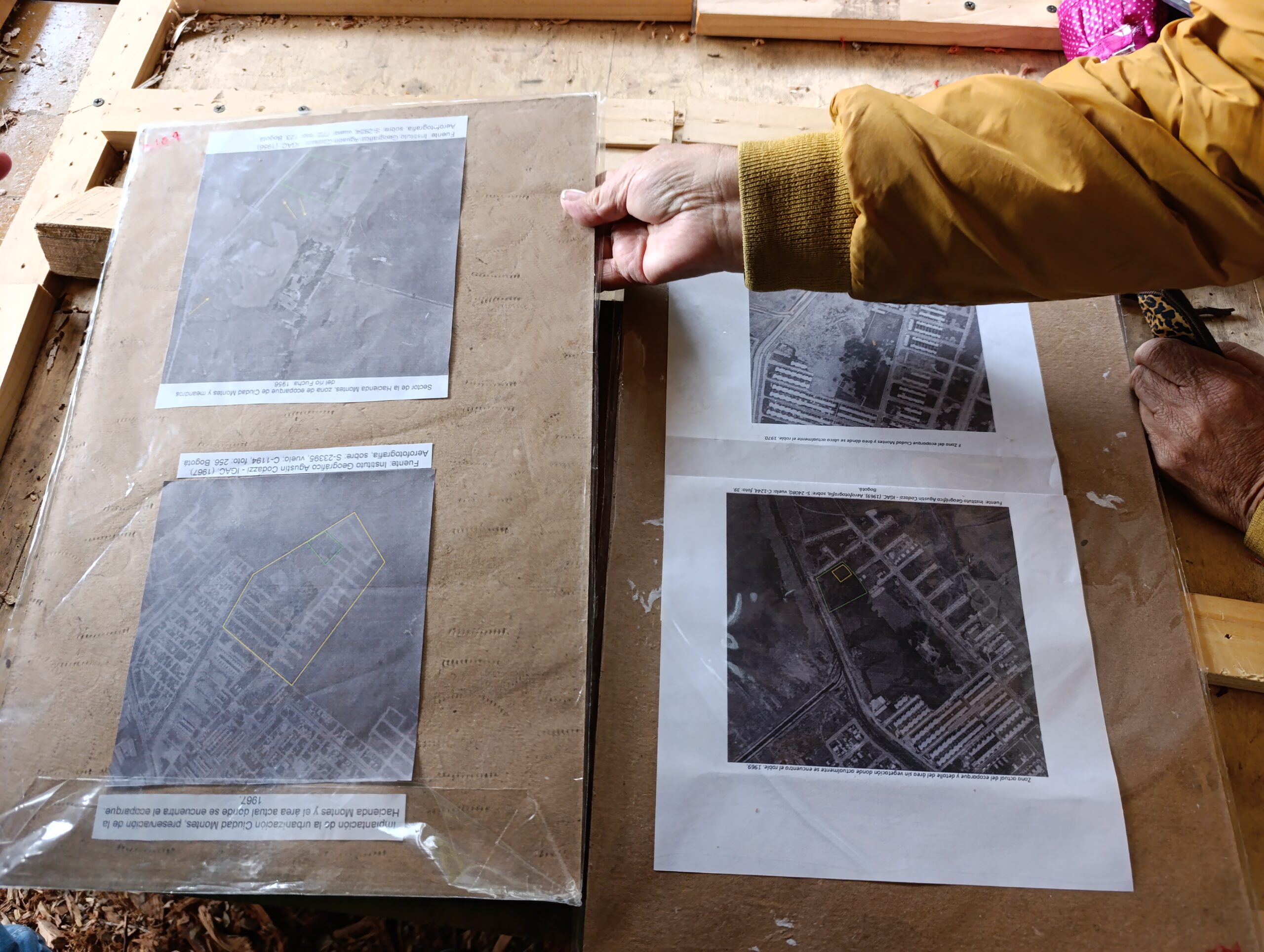 Historias del verde urbano: Comunidades de cuatro bosques urbanos participaron en los talleres de codiseño biofílico del Jardín Botánico