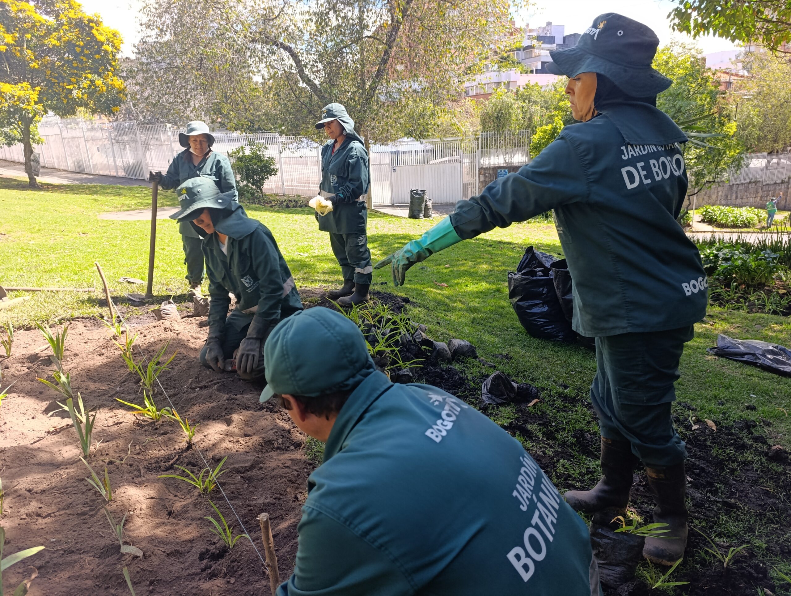 Historias del verde urbano: La jardinera en forma de pizza de Chapinero vuelve a brillar