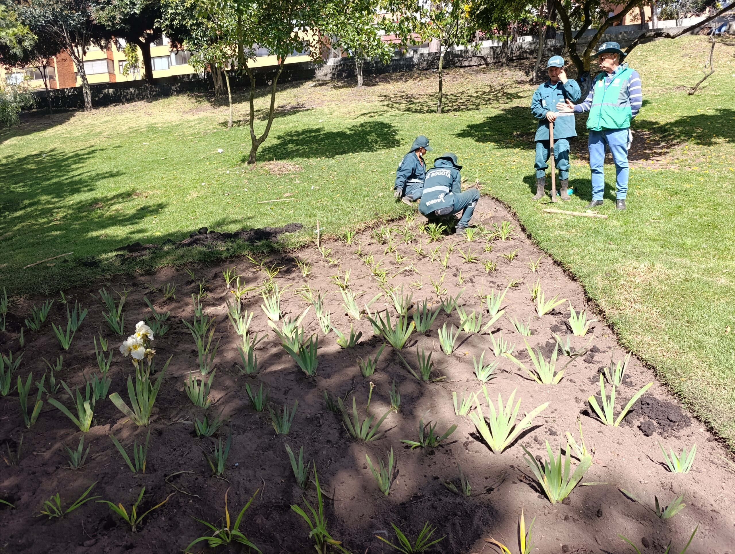 Historias del verde urbano: La jardinera en forma de pizza de Chapinero vuelve a brillar