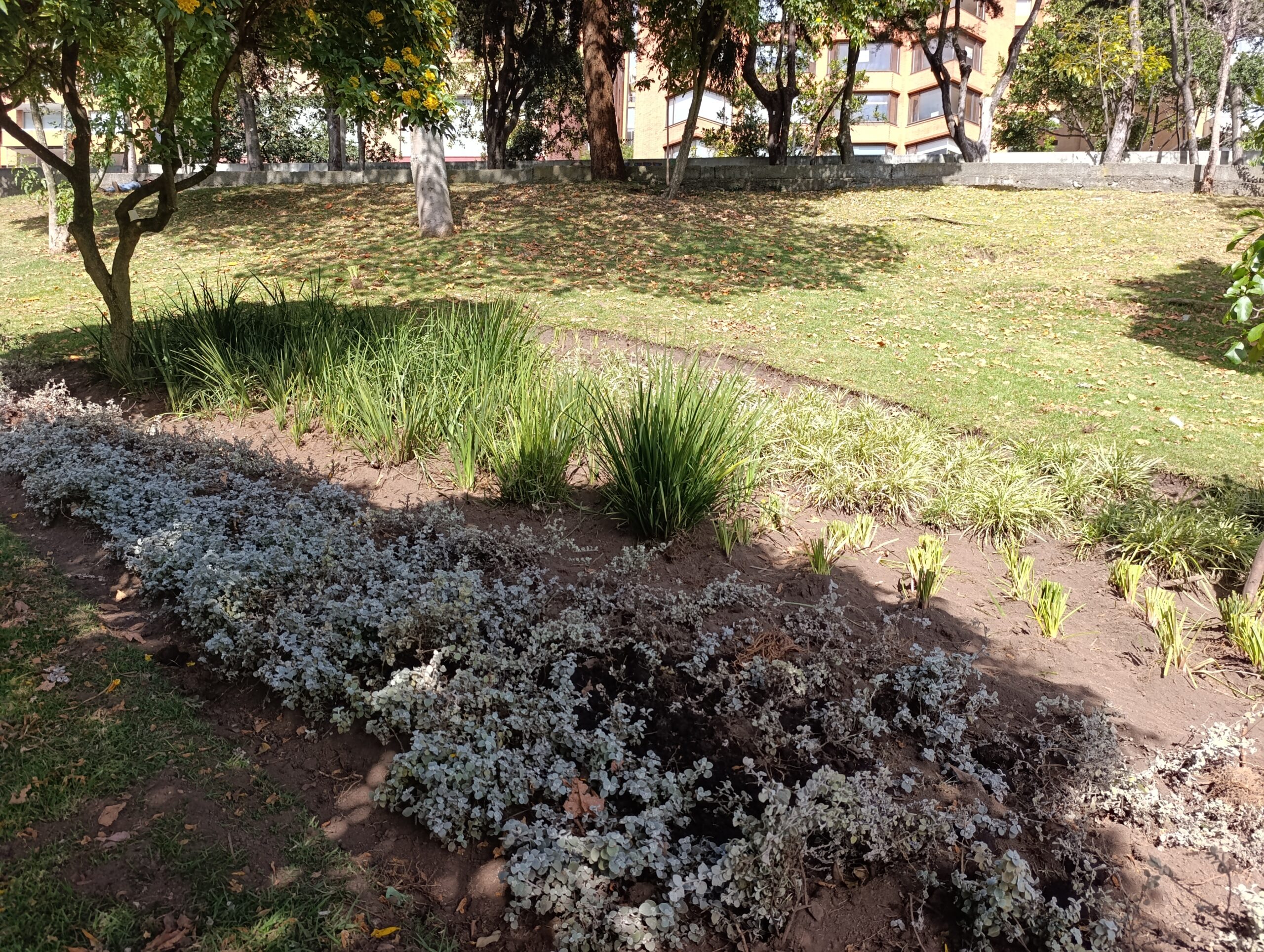 Historias del verde urbano: La jardinera en forma de pizza de Chapinero vuelve a brillar