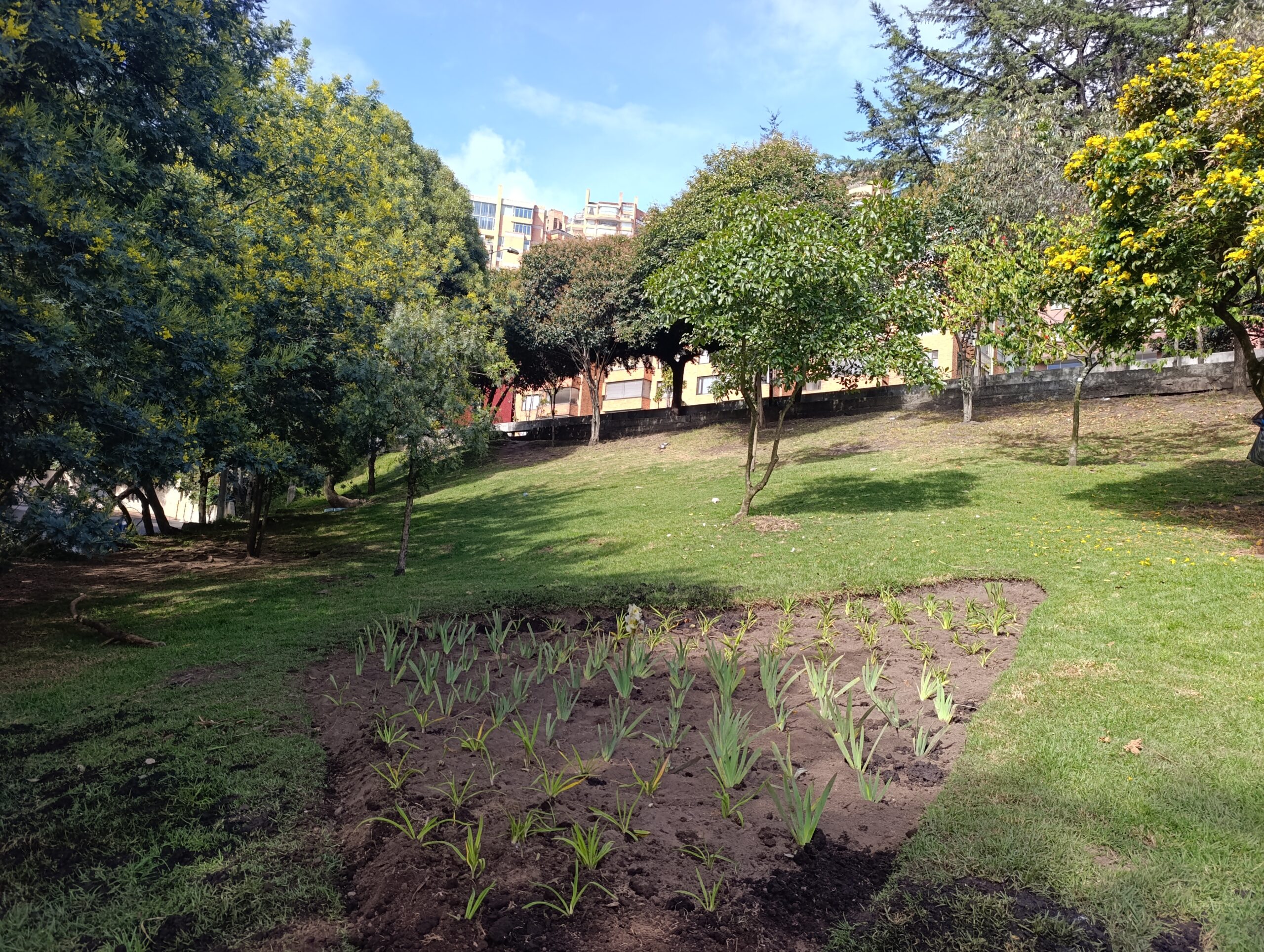 Historias del verde urbano: La jardinera en forma de pizza de Chapinero vuelve a brillar