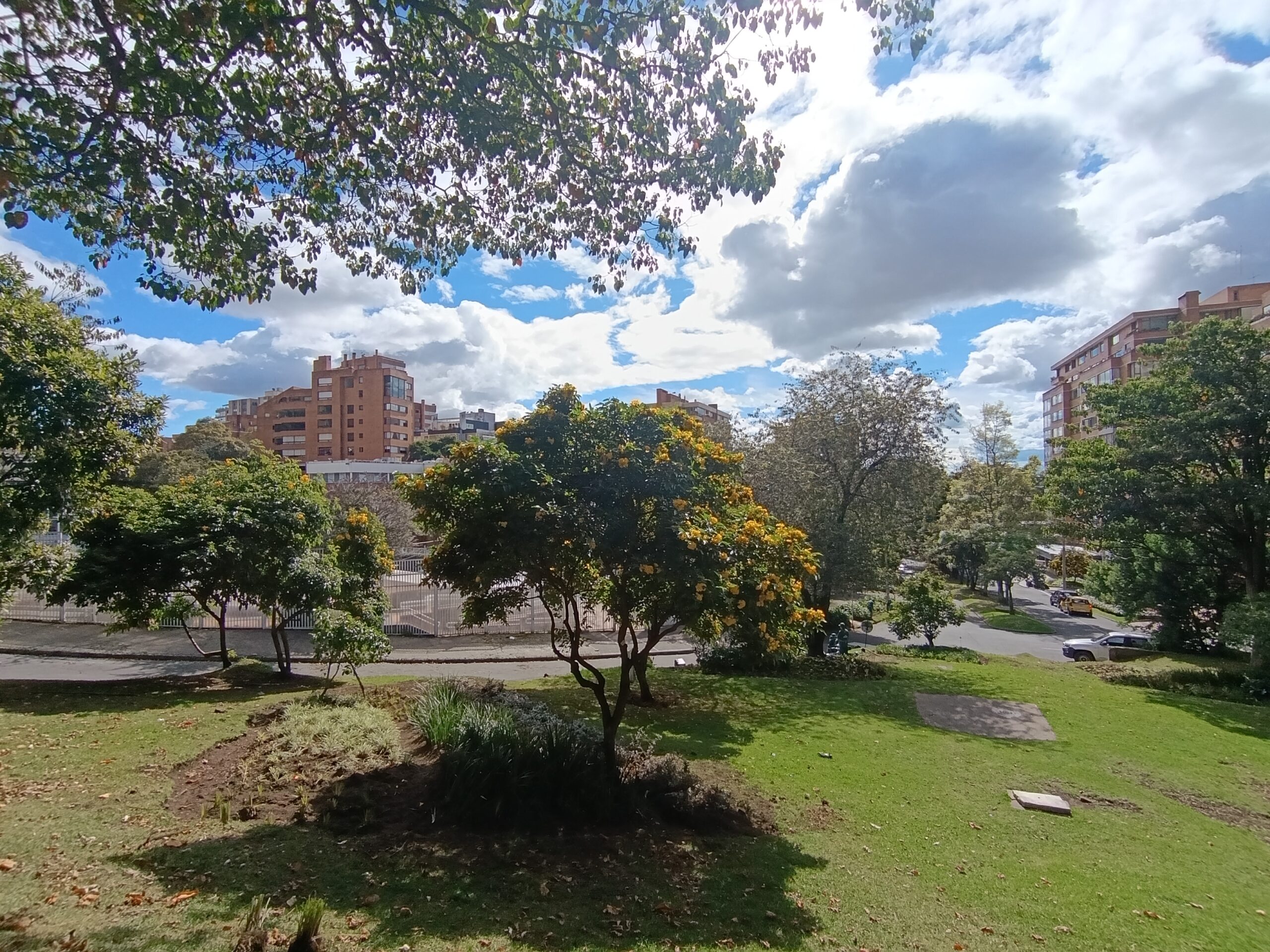Historias del verde urbano: La jardinera en forma de pizza de Chapinero vuelve a brillar