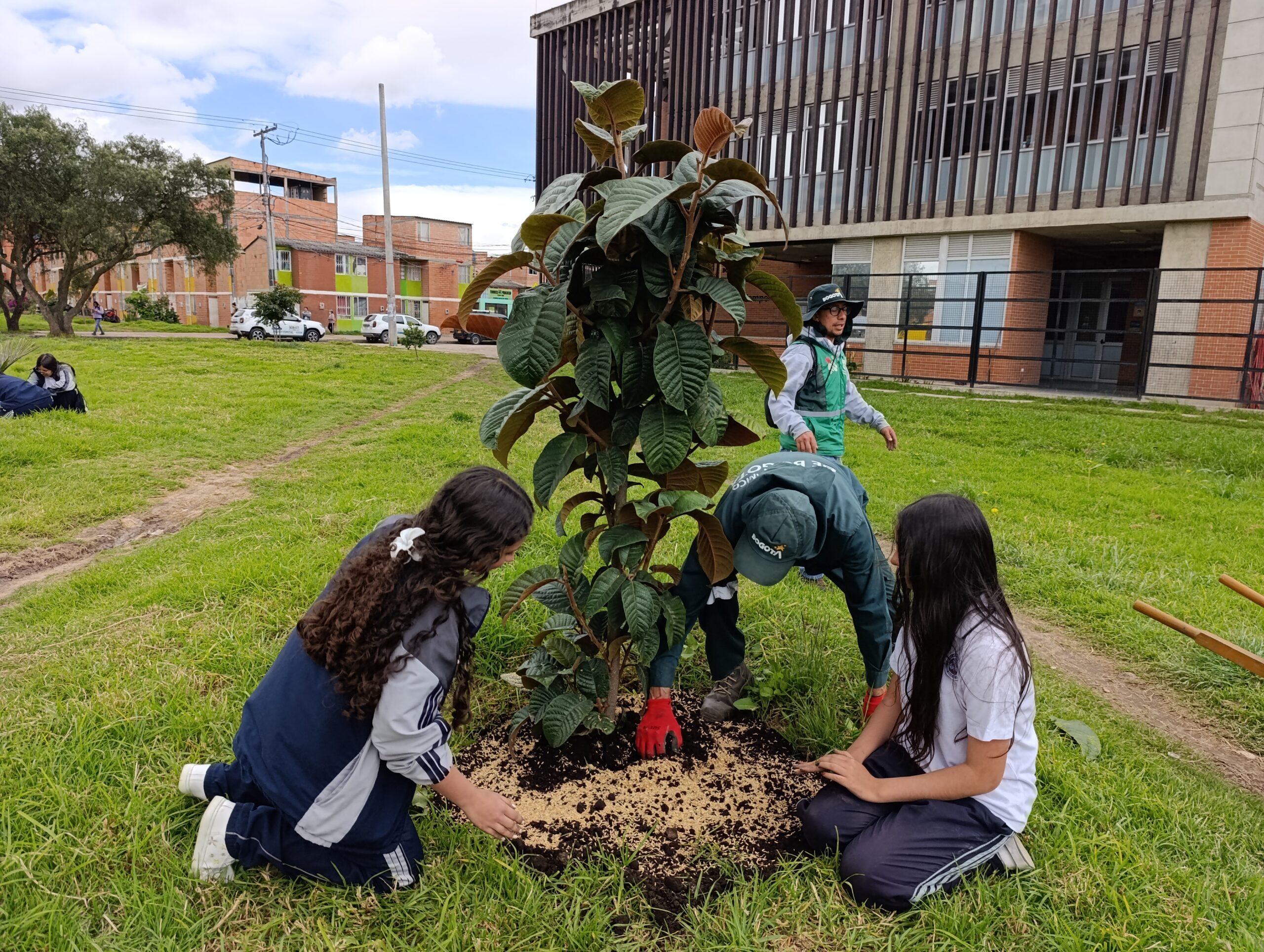 Historias del verde urbano: El Porvenir: un parque de Bosa que se renaturaliza con la ayuda de colegios y la empresa privada