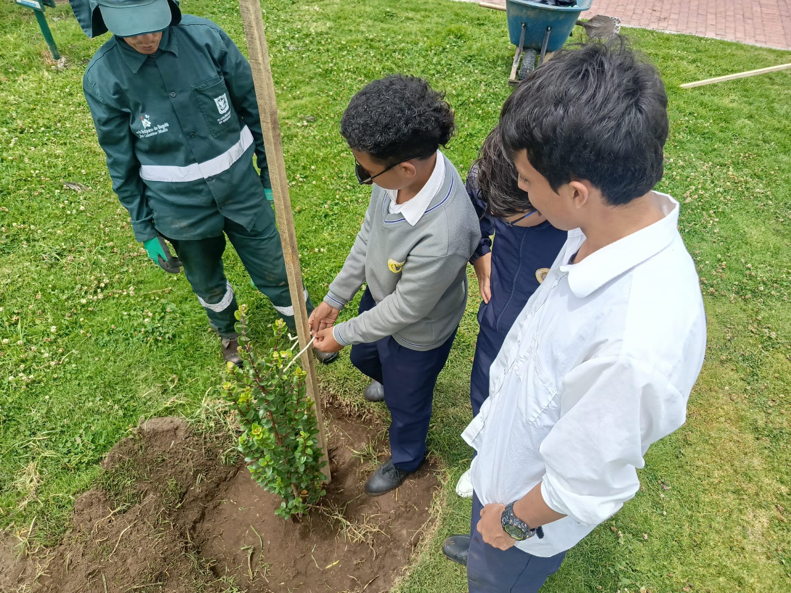 Historias del verde urbano: El Porvenir: un parque de Bosa que se renaturaliza con la ayuda de colegios y la empresa privada