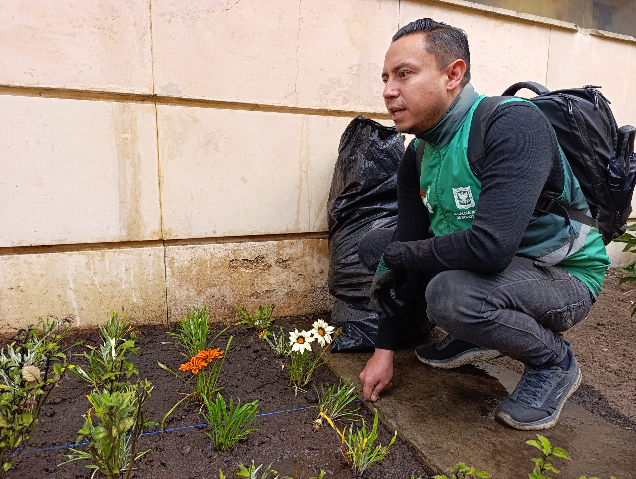 Historias del verde urbano: El renacer de las jardineras externas del Palacio Liévano