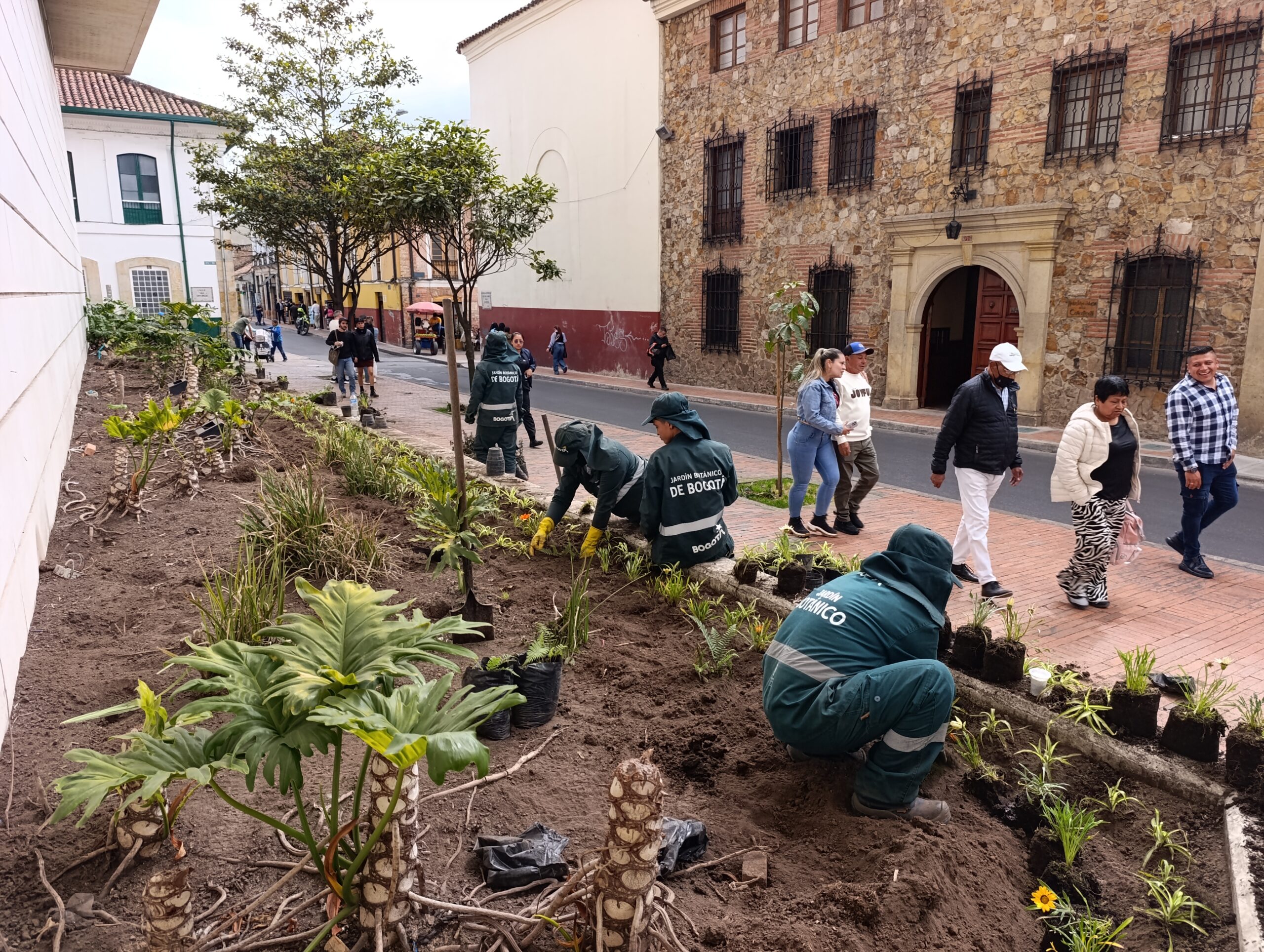 Historias del verde urbano: El renacer de las jardineras externas del Palacio Liévano