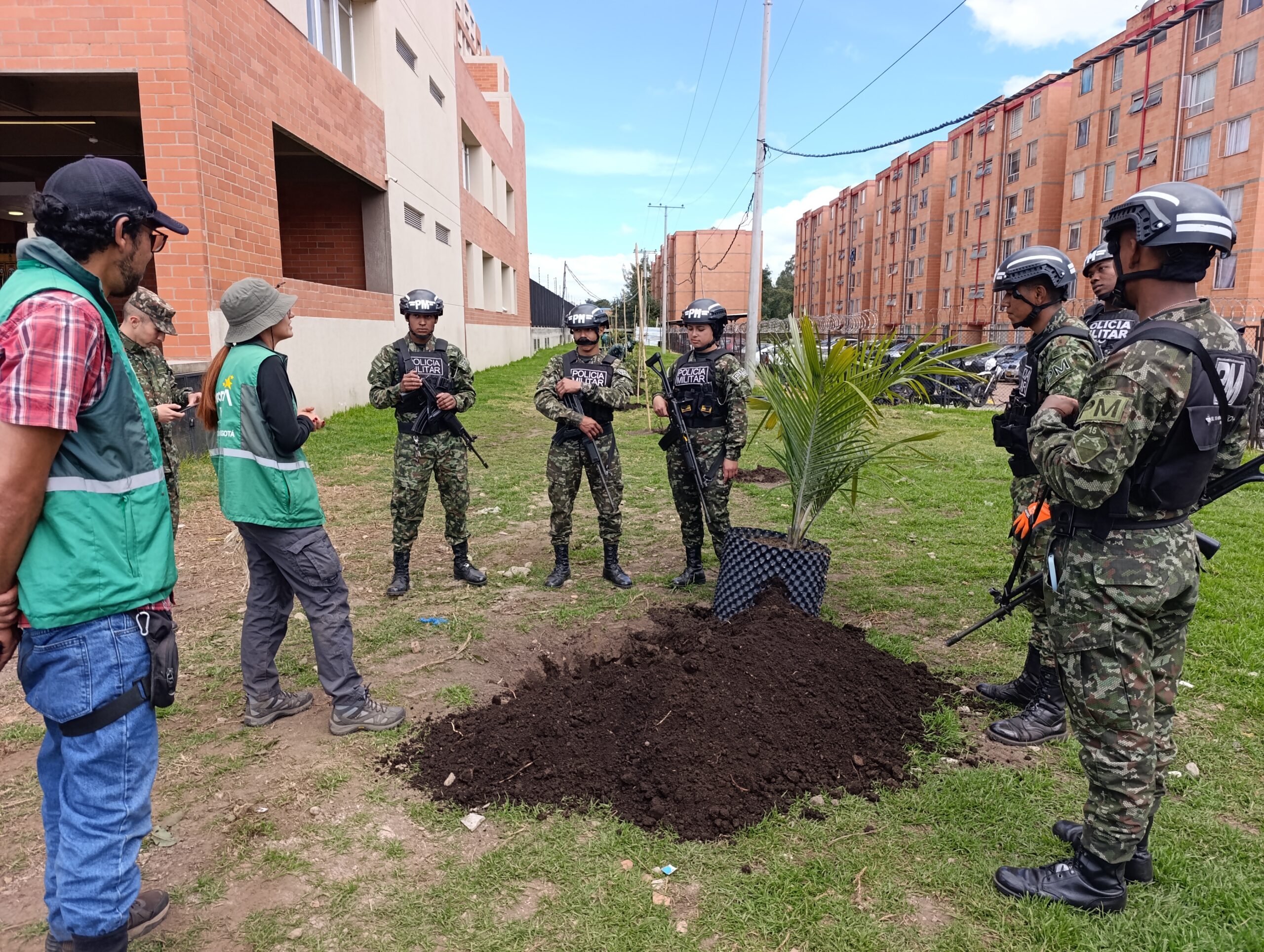 Historias del verde urbano: ¡El símbolo patrio arbóreo de Colombia llegó a Camino Verde!