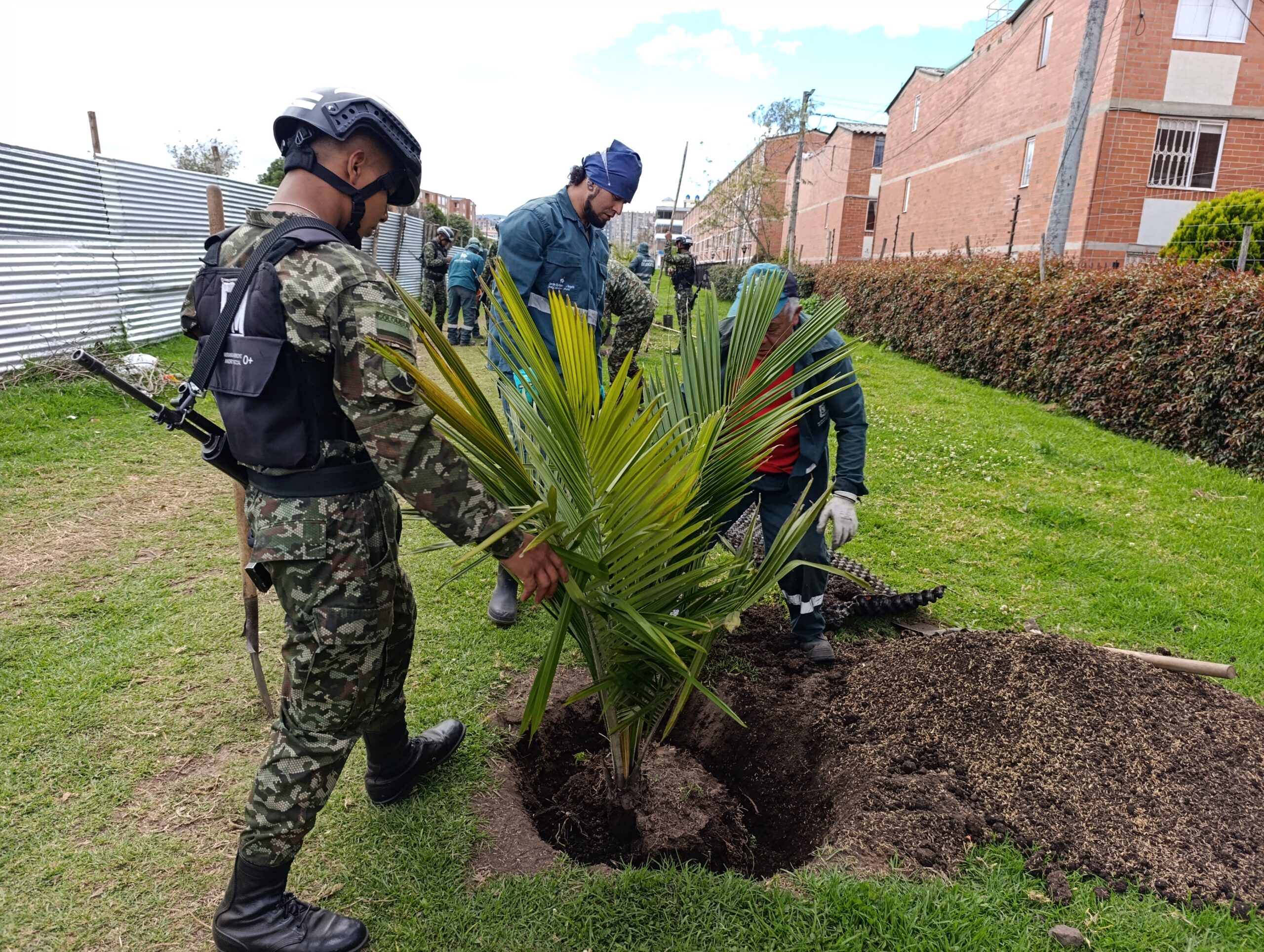 Historias del verde urbano: ¡El símbolo patrio arbóreo de Colombia llegó a Camino Verde!